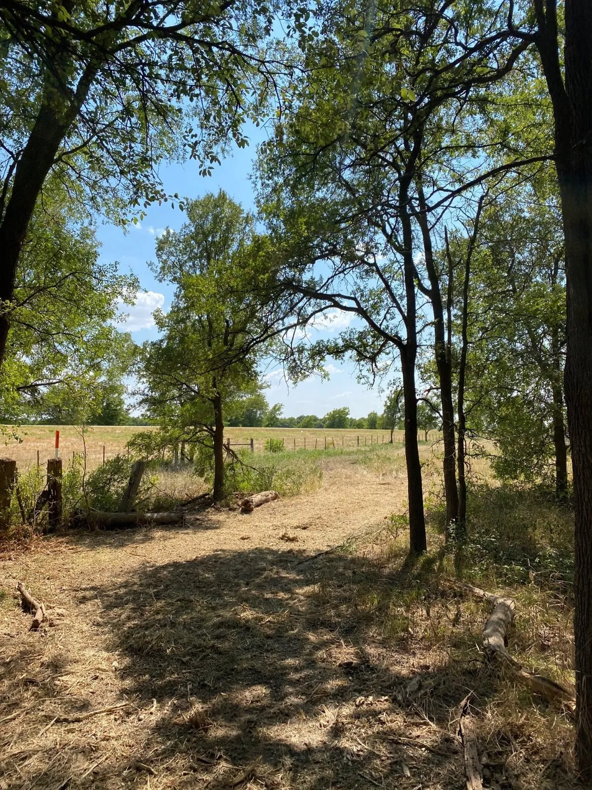 Ranch For Sale in Limestone County , TBD W HWY 84, Prairie Hill, Texas 76678, 0, 0, Garage spaces, 0 Sqft, built in 0, Price $666,187, mls#20386342, Real Estate Agent in Prairie Hill, Homes For Sale in Limestone county, Homes For Sale in Prairie Hill, Realtor in Prairie Hill Texas, Real Estate Brokerage Independent Realty Texas, Luminita Cordes Realtor