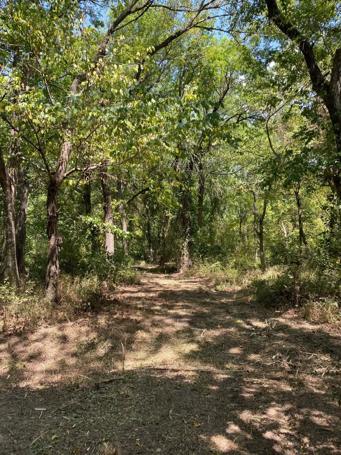 Ranch For Sale in Limestone County , TBD W HWY 84, Prairie Hill, Texas 76678, 0, 0, Garage spaces, 0 Sqft, built in 0, Price $666,187, mls#20386342, Real Estate Agent in Prairie Hill, Homes For Sale in Limestone county, Homes For Sale in Prairie Hill, Realtor in Prairie Hill Texas, Real Estate Brokerage Independent Realty Texas, Luminita Cordes Realtor
