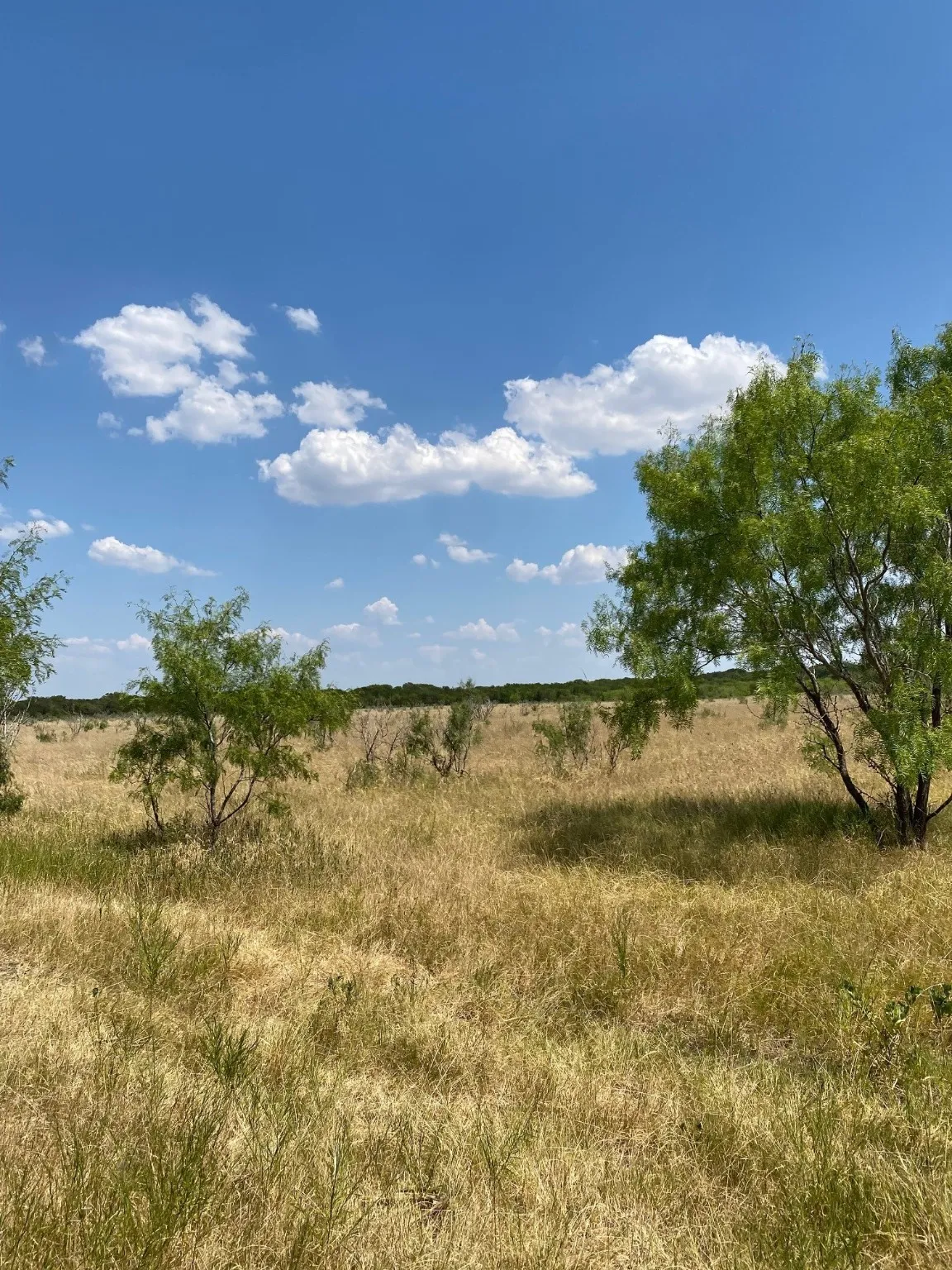 Ranch For Sale in Limestone County , TBD W HWY 84, Prairie Hill, Texas 76678, 0, 0, Garage spaces, 0 Sqft, built in 0, Price $666,187, mls#20386342, Real Estate Agent in Prairie Hill, Homes For Sale in Limestone county, Homes For Sale in Prairie Hill, Realtor in Prairie Hill Texas, Real Estate Brokerage Independent Realty Texas, Luminita Cordes Realtor