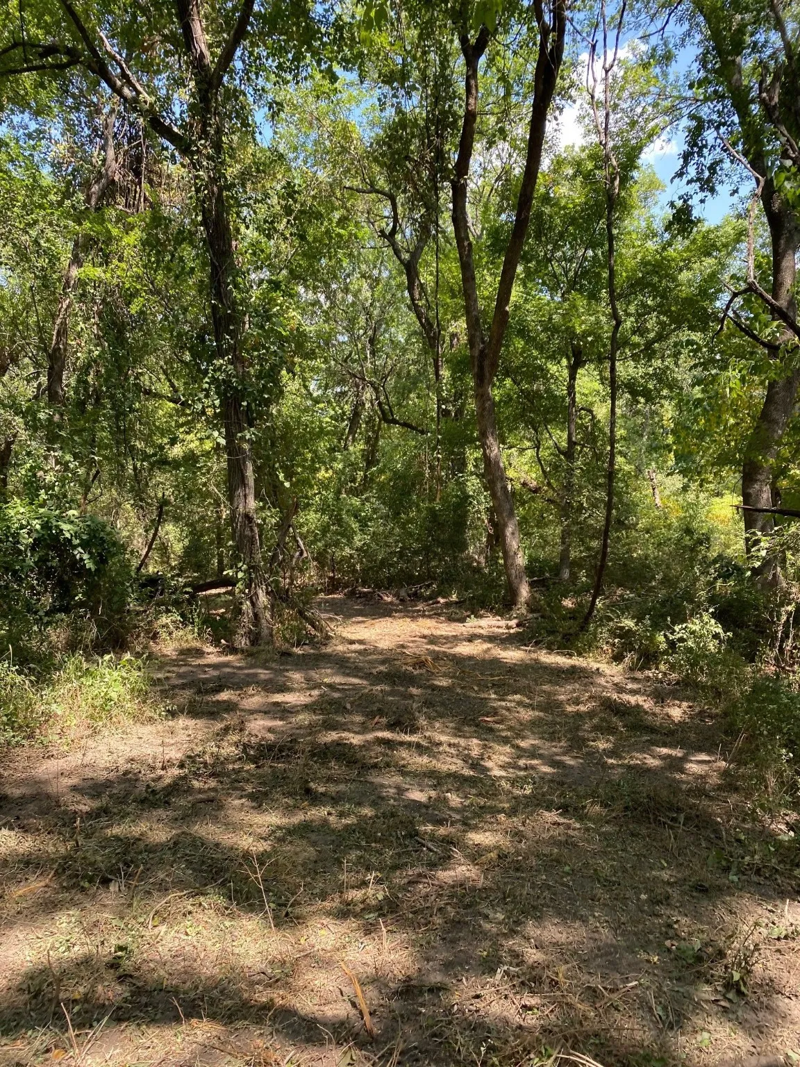 Ranch For Sale in Limestone County , TBD W HWY 84, Prairie Hill, Texas 76678, 0, 0, Garage spaces, 0 Sqft, built in 0, Price $666,187, mls#20386342, Real Estate Agent in Prairie Hill, Homes For Sale in Limestone county, Homes For Sale in Prairie Hill, Realtor in Prairie Hill Texas, Real Estate Brokerage Independent Realty Texas, Luminita Cordes Realtor