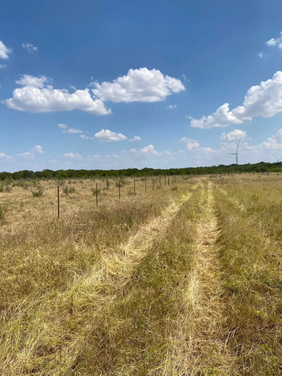 Ranch For Sale in Limestone County , TBD W HWY 84, Prairie Hill, Texas 76678, 0, 0, Garage spaces, 0 Sqft, built in 0, Price $666,187, mls#20386342, Real Estate Agent in Prairie Hill, Homes For Sale in Limestone county, Homes For Sale in Prairie Hill, Realtor in Prairie Hill Texas, Real Estate Brokerage Independent Realty Texas, Luminita Cordes Realtor