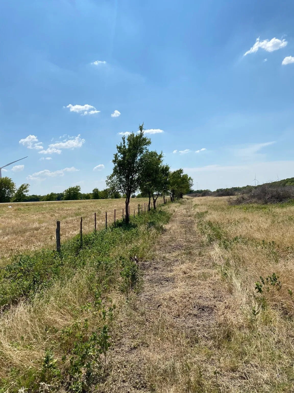 Ranch For Sale in Limestone County , TBD W HWY 84, Prairie Hill, Texas 76678, 0, 0, Garage spaces, 0 Sqft, built in 0, Price $666,187, mls#20386342, Real Estate Agent in Prairie Hill, Homes For Sale in Limestone county, Homes For Sale in Prairie Hill, Realtor in Prairie Hill Texas, Real Estate Brokerage Independent Realty Texas, Luminita Cordes Realtor
