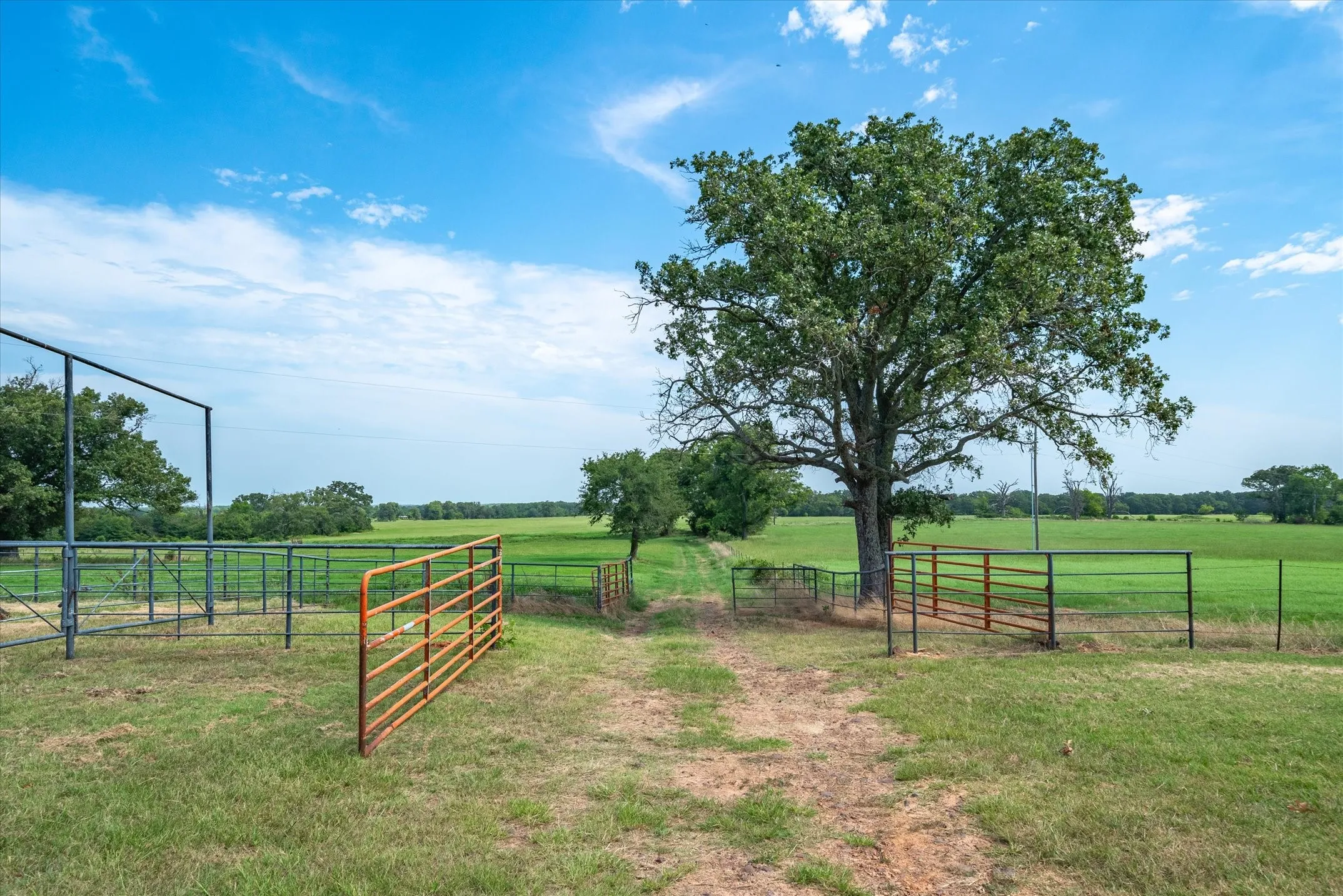 out to the back acreage