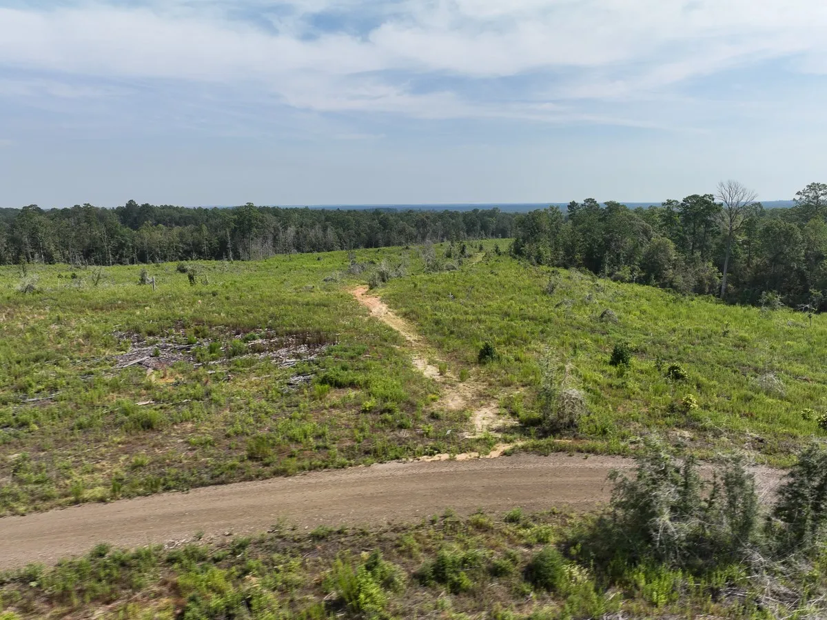 Unimproved Land For Sale in Tyler County , 1 County Road 3725, Colmesneil, Texas 75938, 0, 0, Garage spaces, 0 Sqft, built in 0, Price $878,850, mls#20397621, Real Estate Agent in Colmesneil, Homes For Sale in Tyler county, Homes For Sale in Colmesneil, Realtor in Colmesneil Texas, Real Estate Brokerage Independent Realty Texas, Luminita Cordes Realtor