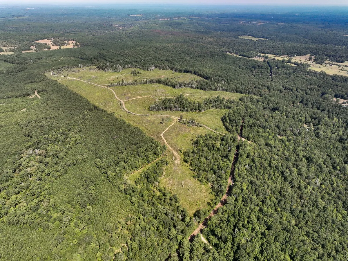 Unimproved Land For Sale in Tyler County , 1 County Road 3725, Colmesneil, Texas 75938, 0, 0, Garage spaces, 0 Sqft, built in 0, Price $878,850, mls#20397621, Real Estate Agent in Colmesneil, Homes For Sale in Tyler county, Homes For Sale in Colmesneil, Realtor in Colmesneil Texas, Real Estate Brokerage Independent Realty Texas, Luminita Cordes Realtor