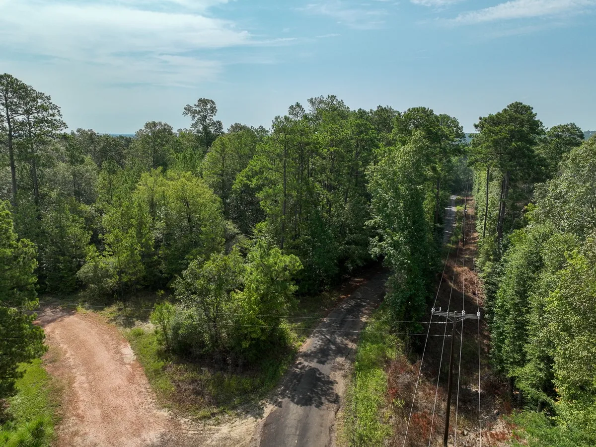 Unimproved Land For Sale in Tyler County , 1 County Road 3725, Colmesneil, Texas 75938, 0, 0, Garage spaces, 0 Sqft, built in 0, Price $878,850, mls#20397621, Real Estate Agent in Colmesneil, Homes For Sale in Tyler county, Homes For Sale in Colmesneil, Realtor in Colmesneil Texas, Real Estate Brokerage Independent Realty Texas, Luminita Cordes Realtor