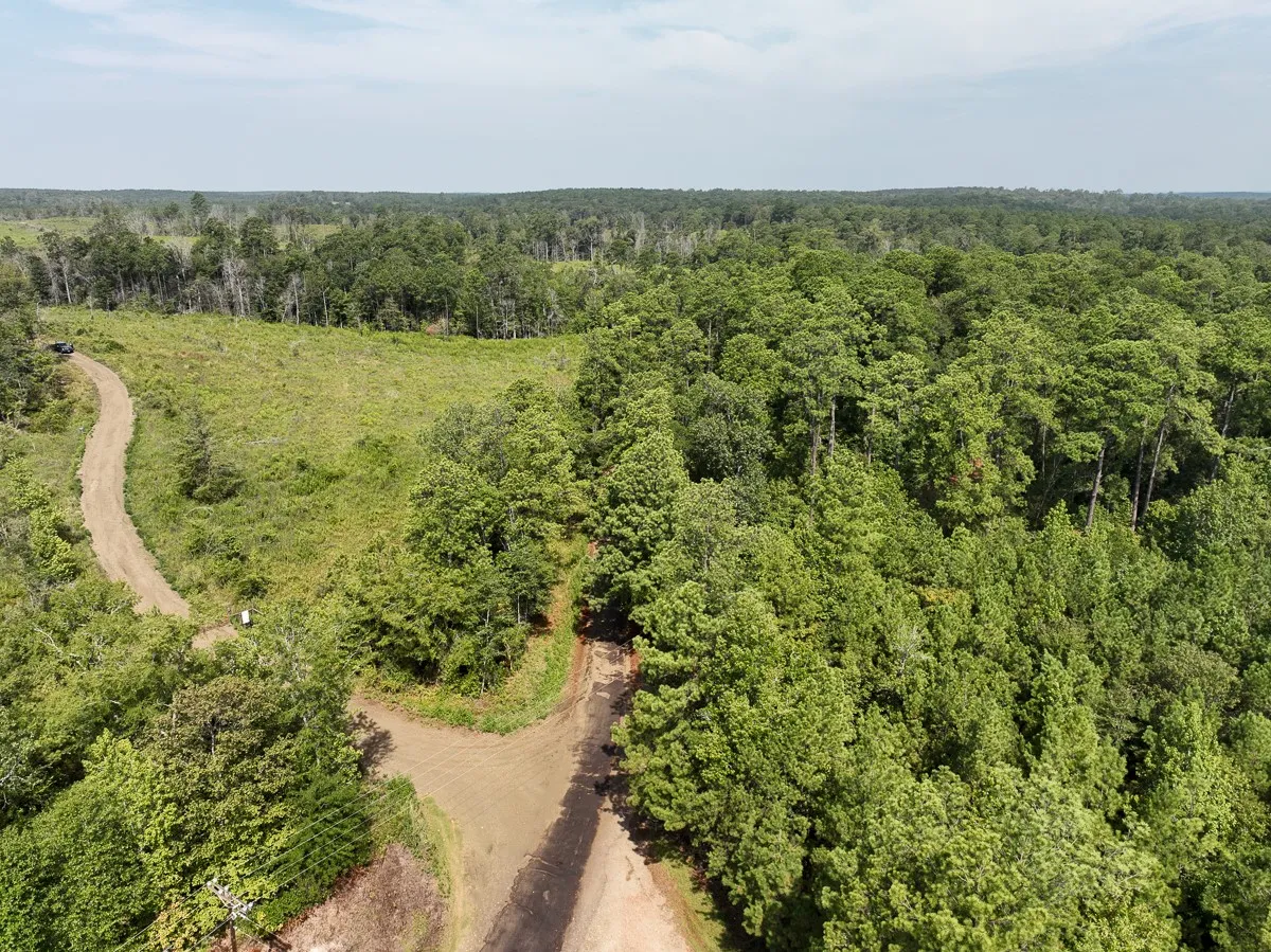Unimproved Land For Sale in Tyler County , 1 County Road 3725, Colmesneil, Texas 75938, 0, 0, Garage spaces, 0 Sqft, built in 0, Price $878,850, mls#20397621, Real Estate Agent in Colmesneil, Homes For Sale in Tyler county, Homes For Sale in Colmesneil, Realtor in Colmesneil Texas, Real Estate Brokerage Independent Realty Texas, Luminita Cordes Realtor