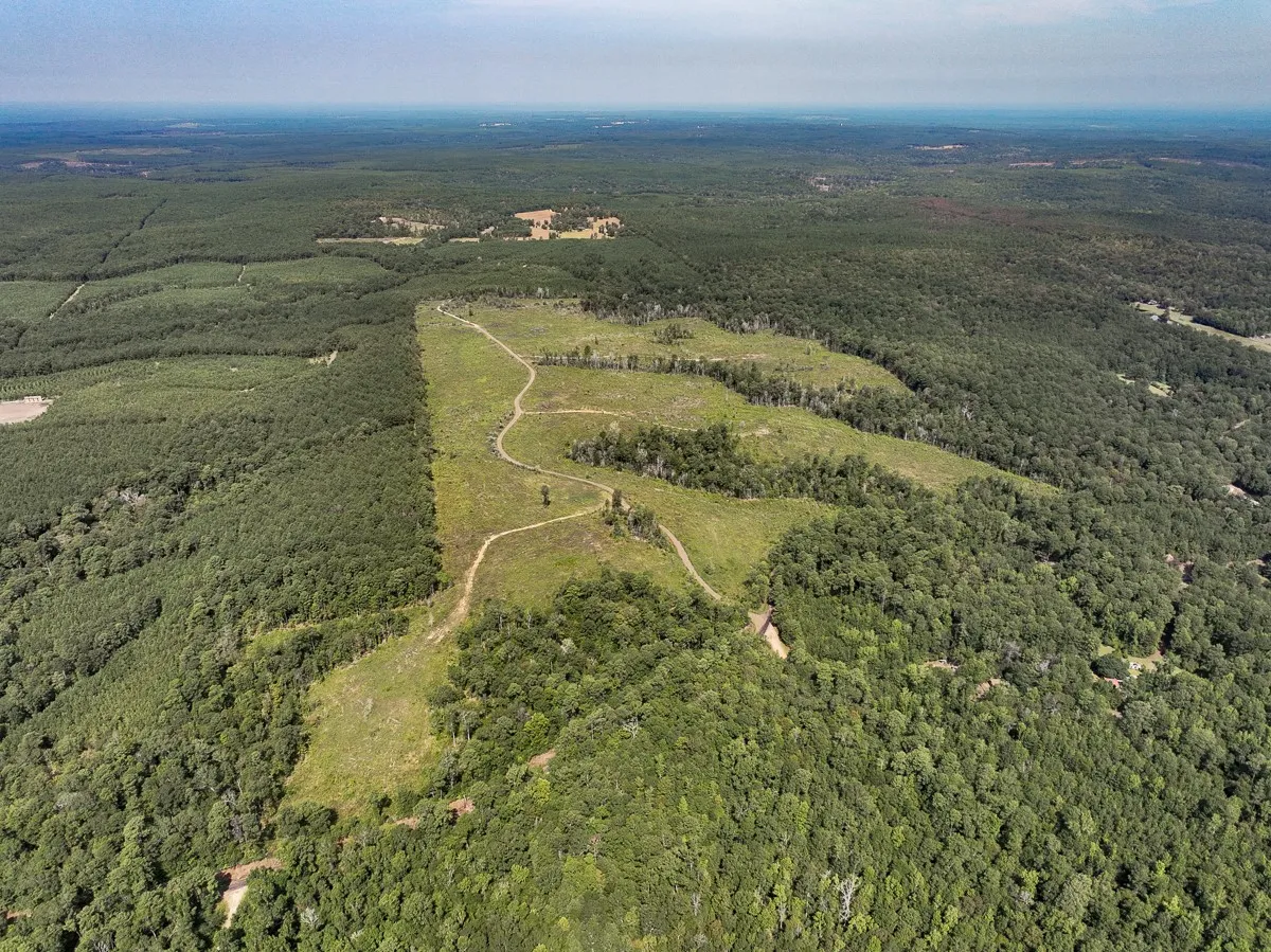 Unimproved Land For Sale in Tyler County , 1 County Road 3725, Colmesneil, Texas 75938, 0, 0, Garage spaces, 0 Sqft, built in 0, Price $878,850, mls#20397621, Real Estate Agent in Colmesneil, Homes For Sale in Tyler county, Homes For Sale in Colmesneil, Realtor in Colmesneil Texas, Real Estate Brokerage Independent Realty Texas, Luminita Cordes Realtor