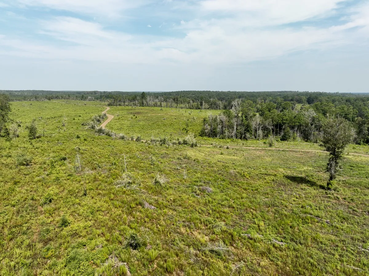 Unimproved Land For Sale in Tyler County , 1 County Road 3725, Colmesneil, Texas 75938, 0, 0, Garage spaces, 0 Sqft, built in 0, Price $878,850, mls#20397621, Real Estate Agent in Colmesneil, Homes For Sale in Tyler county, Homes For Sale in Colmesneil, Realtor in Colmesneil Texas, Real Estate Brokerage Independent Realty Texas, Luminita Cordes Realtor