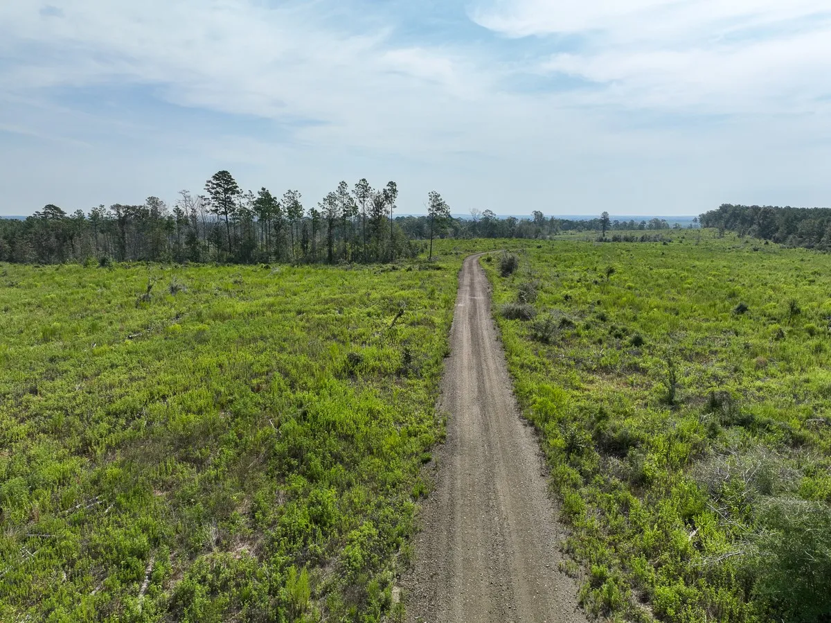 Unimproved Land For Sale in Tyler County , 1 County Road 3725, Colmesneil, Texas 75938, 0, 0, Garage spaces, 0 Sqft, built in 0, Price $878,850, mls#20397621, Real Estate Agent in Colmesneil, Homes For Sale in Tyler county, Homes For Sale in Colmesneil, Realtor in Colmesneil Texas, Real Estate Brokerage Independent Realty Texas, Luminita Cordes Realtor