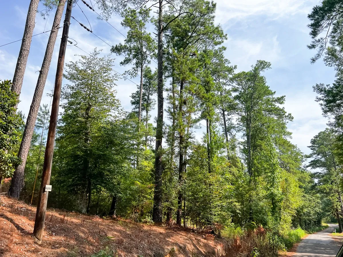 Unimproved Land For Sale in Tyler County , 1 County Road 3725, Colmesneil, Texas 75938, 0, 0, Garage spaces, 0 Sqft, built in 0, Price $878,850, mls#20397621, Real Estate Agent in Colmesneil, Homes For Sale in Tyler county, Homes For Sale in Colmesneil, Realtor in Colmesneil Texas, Real Estate Brokerage Independent Realty Texas, Luminita Cordes Realtor