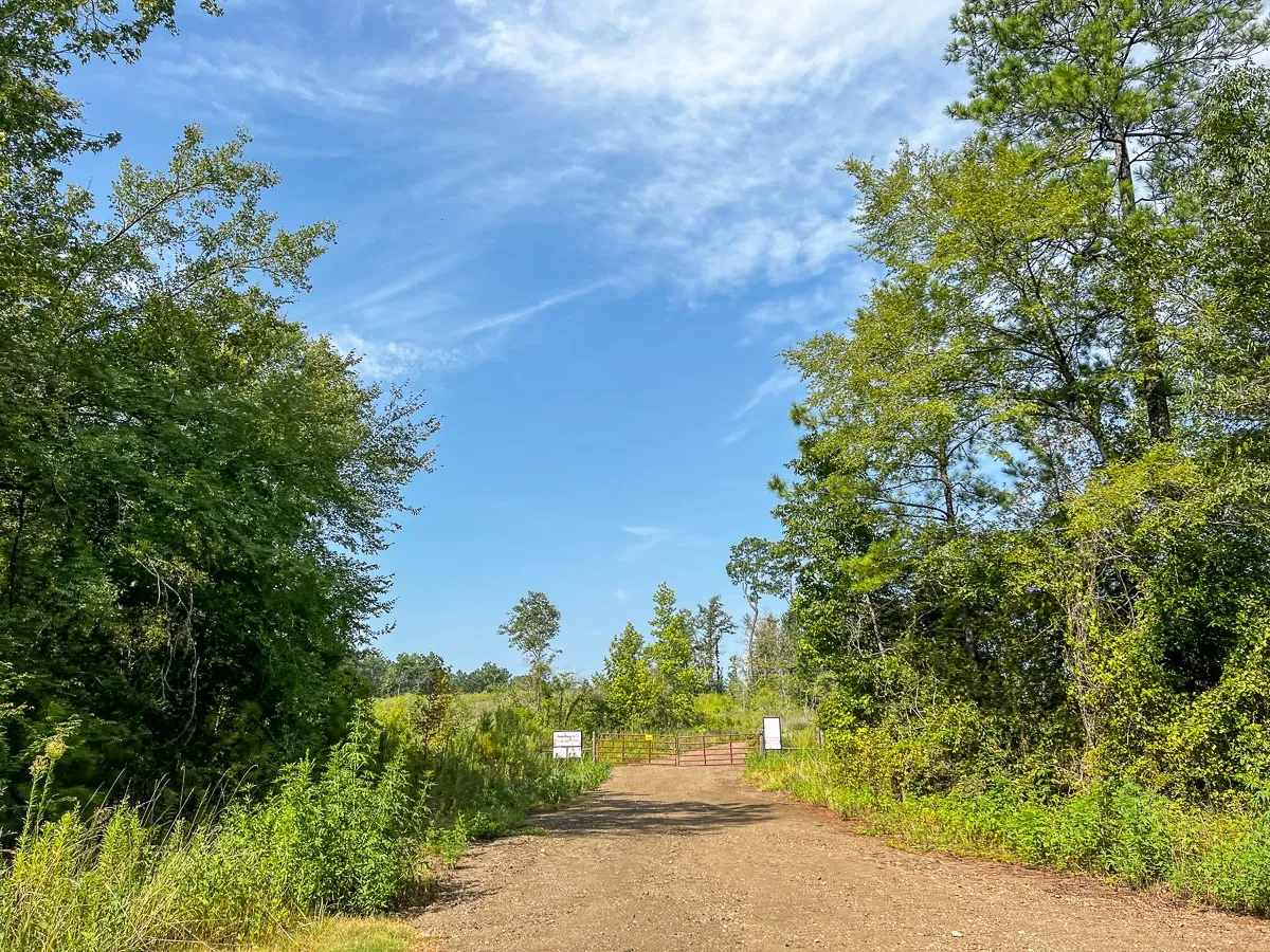 Unimproved Land For Sale in Tyler County , 1 County Road 3725, Colmesneil, Texas 75938, 0, 0, Garage spaces, 0 Sqft, built in 0, Price $878,850, mls#20397621, Real Estate Agent in Colmesneil, Homes For Sale in Tyler county, Homes For Sale in Colmesneil, Realtor in Colmesneil Texas, Real Estate Brokerage Independent Realty Texas, Luminita Cordes Realtor