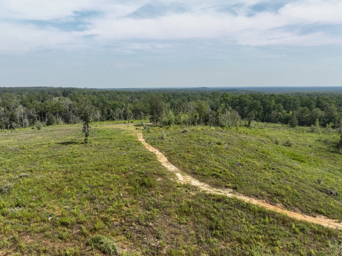 Unimproved Land For Sale in Tyler County , 1 County Road 3725, Colmesneil, Texas 75938, 0, 0, Garage spaces, 0 Sqft, built in 0, Price $878,850, mls#20397621, Real Estate Agent in Colmesneil, Homes For Sale in Tyler county, Homes For Sale in Colmesneil, Realtor in Colmesneil Texas, Real Estate Brokerage Independent Realty Texas, Luminita Cordes Realtor