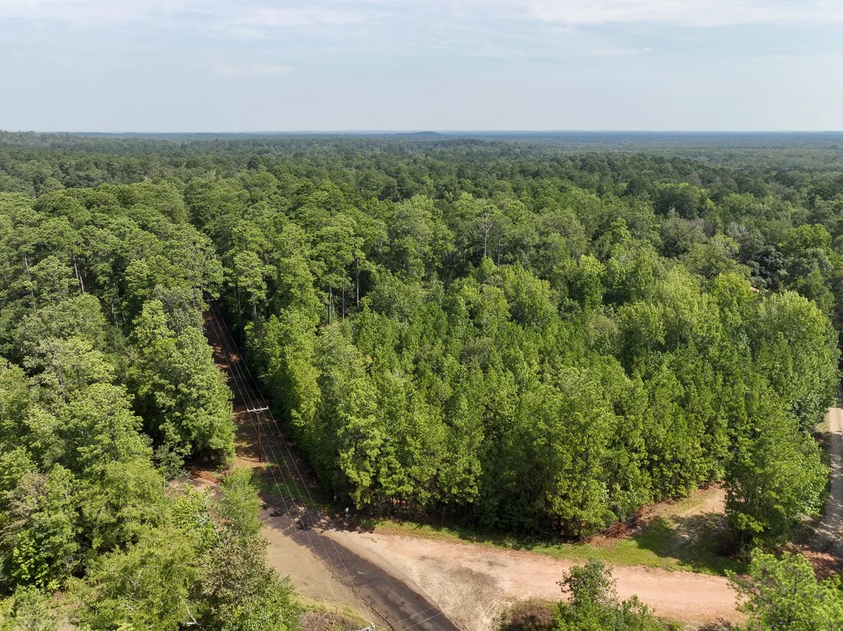 Unimproved Land For Sale in Tyler County , 1 County Road 3725, Colmesneil, Texas 75938, 0, 0, Garage spaces, 0 Sqft, built in 0, Price $878,850, mls#20397621, Real Estate Agent in Colmesneil, Homes For Sale in Tyler county, Homes For Sale in Colmesneil, Realtor in Colmesneil Texas, Real Estate Brokerage Independent Realty Texas, Luminita Cordes Realtor