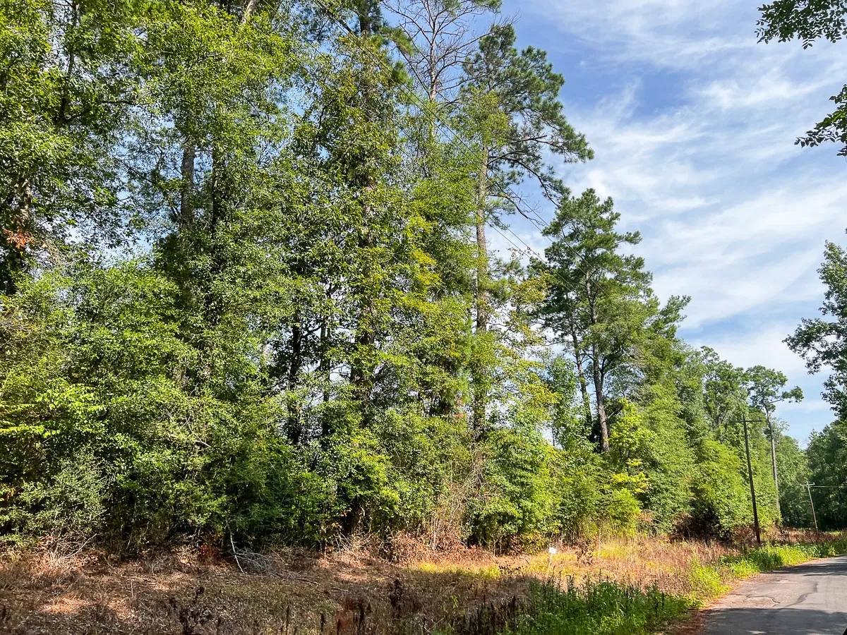 Unimproved Land For Sale in Tyler County , 1 County Road 3725, Colmesneil, Texas 75938, 0, 0, Garage spaces, 0 Sqft, built in 0, Price $878,850, mls#20397621, Real Estate Agent in Colmesneil, Homes For Sale in Tyler county, Homes For Sale in Colmesneil, Realtor in Colmesneil Texas, Real Estate Brokerage Independent Realty Texas, Luminita Cordes Realtor