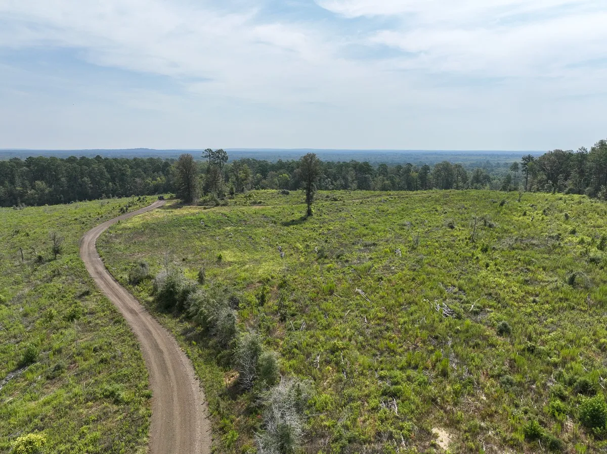 Unimproved Land For Sale in Tyler County , 1 County Road 3725, Colmesneil, Texas 75938, 0, 0, Garage spaces, 0 Sqft, built in 0, Price $878,850, mls#20397621, Real Estate Agent in Colmesneil, Homes For Sale in Tyler county, Homes For Sale in Colmesneil, Realtor in Colmesneil Texas, Real Estate Brokerage Independent Realty Texas, Luminita Cordes Realtor