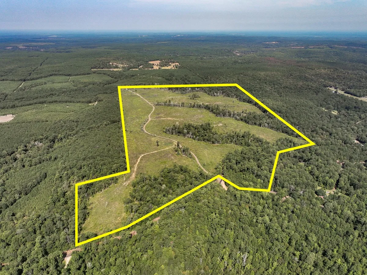 Unimproved Land For Sale in Tyler County , 1 County Road 3725, Colmesneil, Texas 75938, 0, 0, Garage spaces, 0 Sqft, built in 0, Price $878,850, mls#20397621, Real Estate Agent in Colmesneil, Homes For Sale in Tyler county, Homes For Sale in Colmesneil, Realtor in Colmesneil Texas, Real Estate Brokerage Independent Realty Texas, Luminita Cordes Realtor
