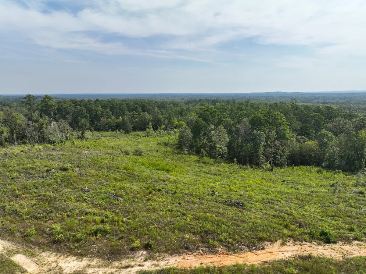 Unimproved Land For Sale in Tyler County , 1 County Road 3725, Colmesneil, Texas 75938, 0, 0, Garage spaces, 0 Sqft, built in 0, Price $878,850, mls#20397621, Real Estate Agent in Colmesneil, Homes For Sale in Tyler county, Homes For Sale in Colmesneil, Realtor in Colmesneil Texas, Real Estate Brokerage Independent Realty Texas, Luminita Cordes Realtor