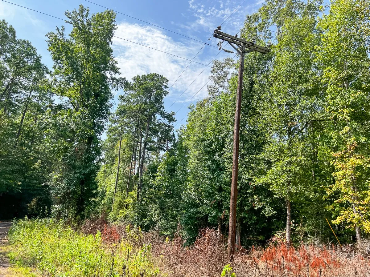 Unimproved Land For Sale in Tyler County , 1 County Road 3725, Colmesneil, Texas 75938, 0, 0, Garage spaces, 0 Sqft, built in 0, Price $878,850, mls#20397621, Real Estate Agent in Colmesneil, Homes For Sale in Tyler county, Homes For Sale in Colmesneil, Realtor in Colmesneil Texas, Real Estate Brokerage Independent Realty Texas, Luminita Cordes Realtor
