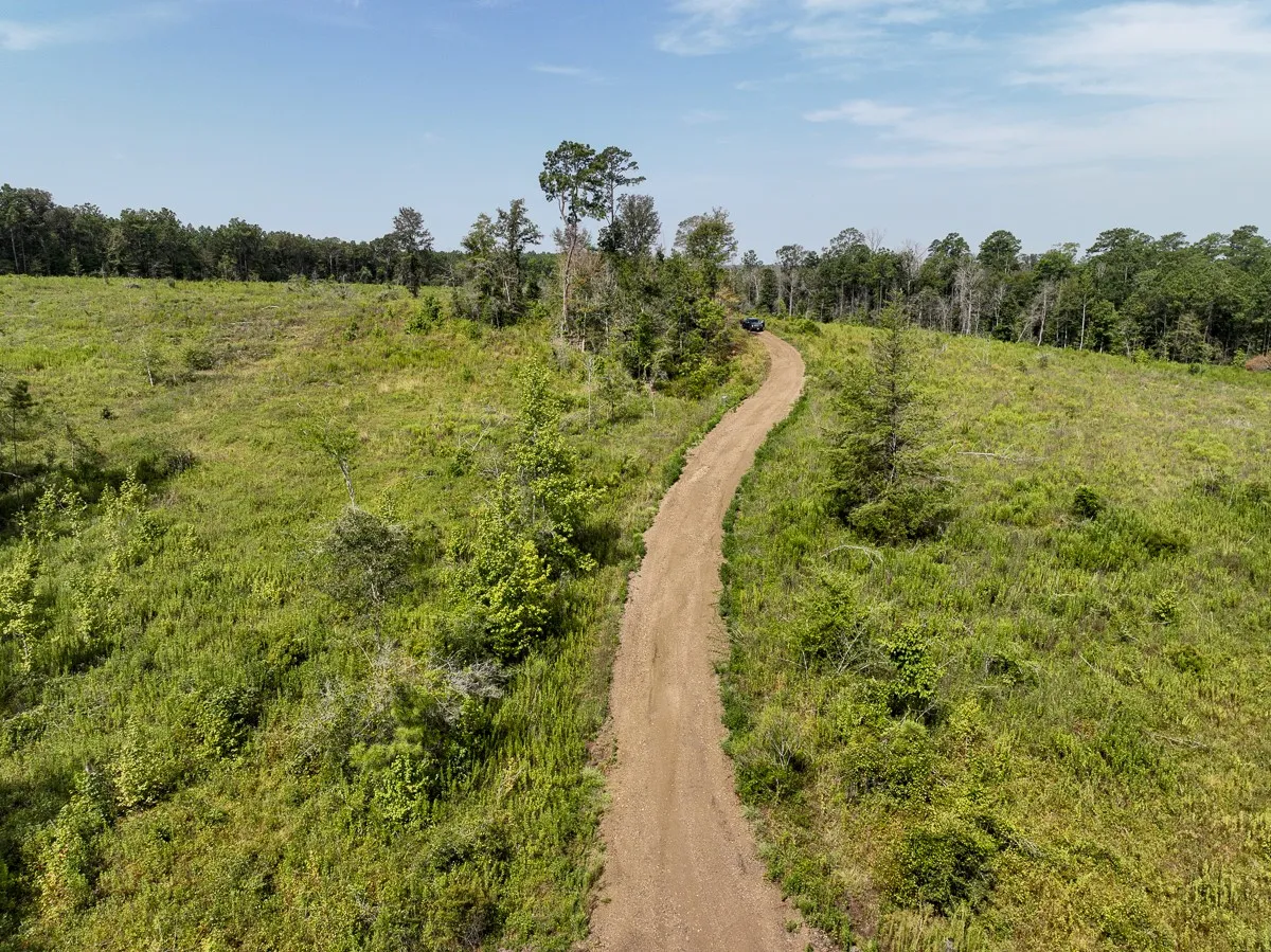 Unimproved Land For Sale in Tyler County , 1 County Road 3725, Colmesneil, Texas 75938, 0, 0, Garage spaces, 0 Sqft, built in 0, Price $878,850, mls#20397621, Real Estate Agent in Colmesneil, Homes For Sale in Tyler county, Homes For Sale in Colmesneil, Realtor in Colmesneil Texas, Real Estate Brokerage Independent Realty Texas, Luminita Cordes Realtor