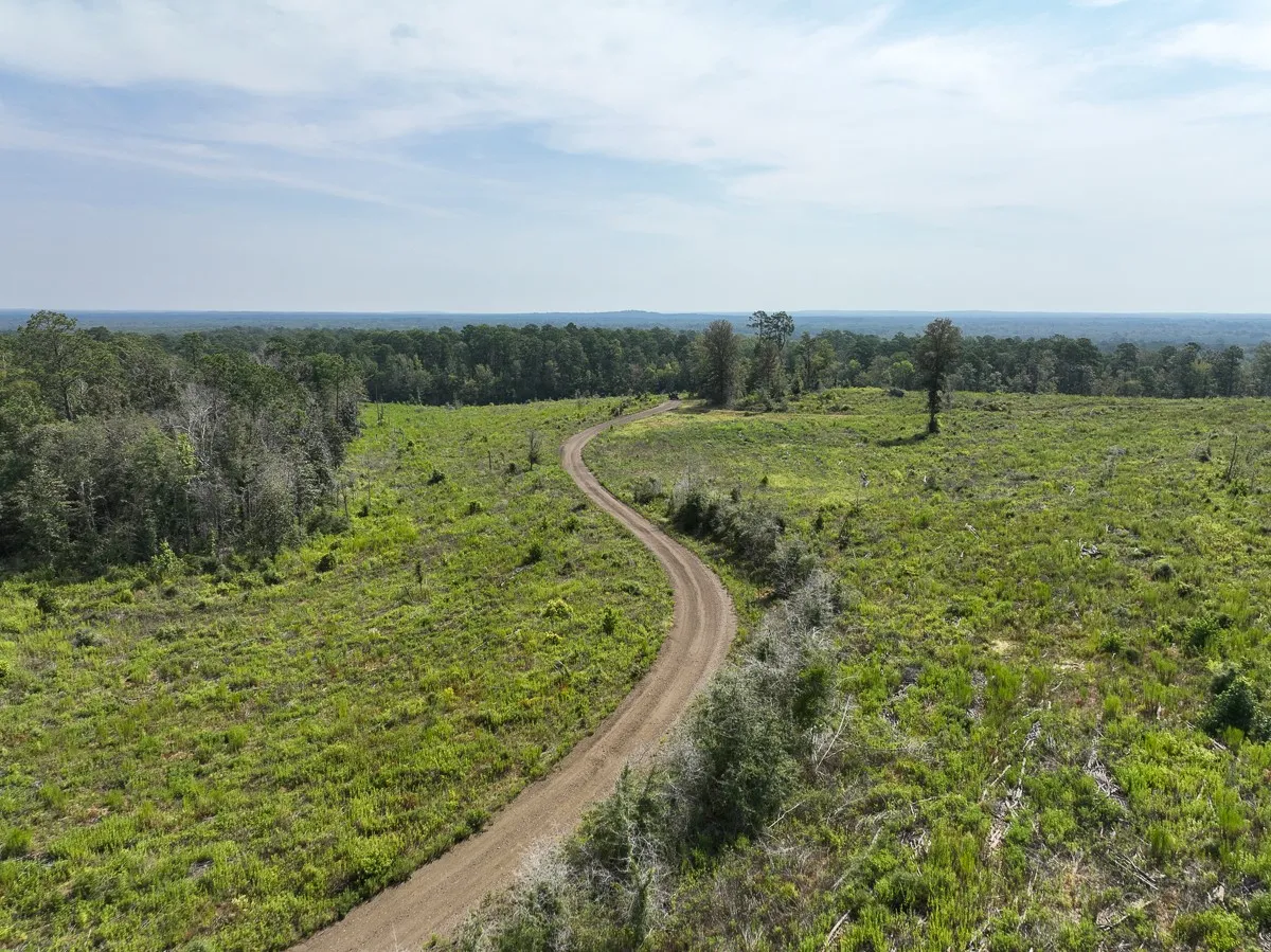 Unimproved Land For Sale in Tyler County , 1 County Road 3725, Colmesneil, Texas 75938, 0, 0, Garage spaces, 0 Sqft, built in 0, Price $878,850, mls#20397621, Real Estate Agent in Colmesneil, Homes For Sale in Tyler county, Homes For Sale in Colmesneil, Realtor in Colmesneil Texas, Real Estate Brokerage Independent Realty Texas, Luminita Cordes Realtor