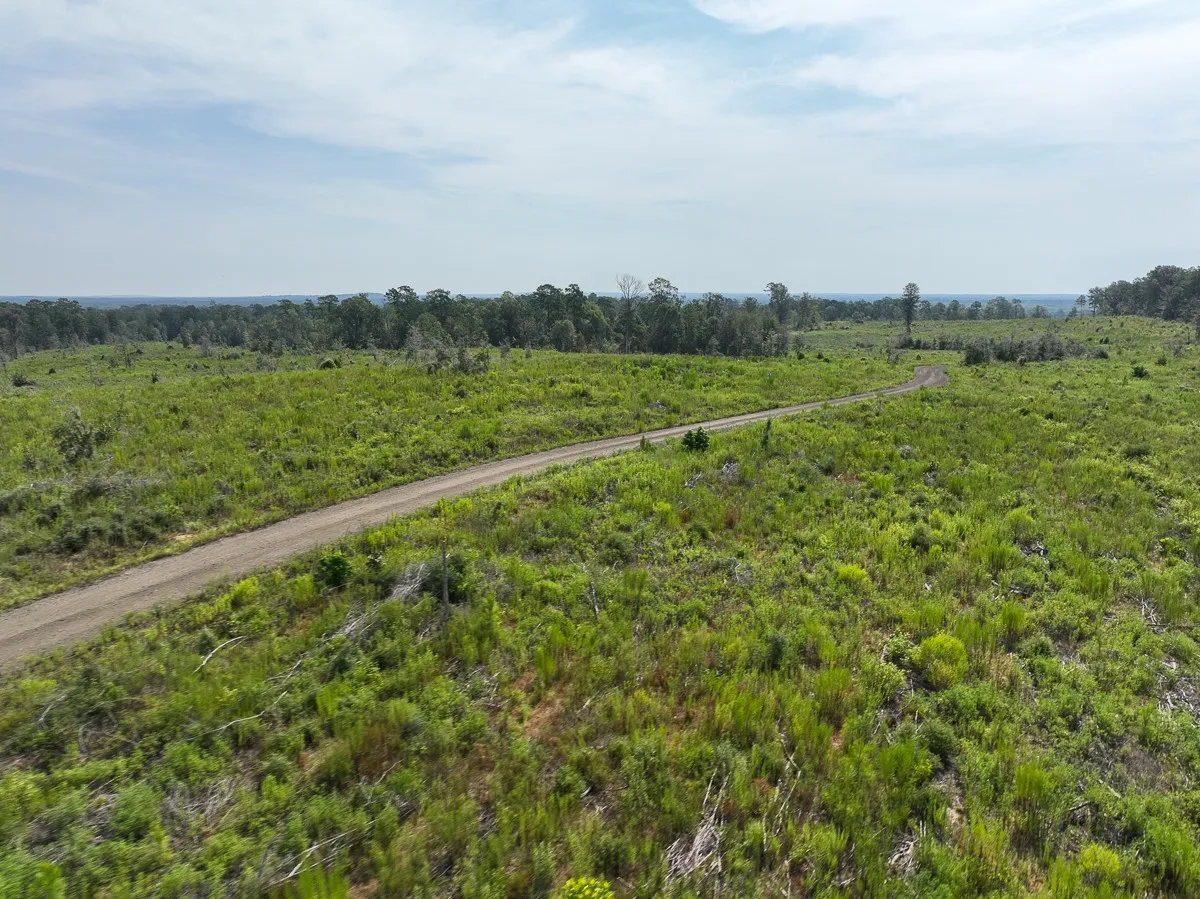 Unimproved Land For Sale in Tyler County , 1 County Road 3725, Colmesneil, Texas 75938, 0, 0, Garage spaces, 0 Sqft, built in 0, Price $878,850, mls#20397621, Real Estate Agent in Colmesneil, Homes For Sale in Tyler county, Homes For Sale in Colmesneil, Realtor in Colmesneil Texas, Real Estate Brokerage Independent Realty Texas, Luminita Cordes Realtor