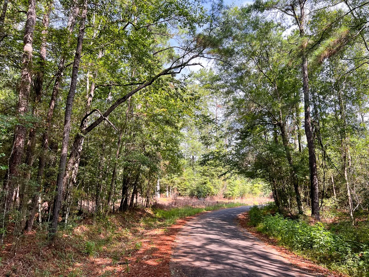 Unimproved Land For Sale in Tyler County , 1 County Road 3725, Colmesneil, Texas 75938, 0, 0, Garage spaces, 0 Sqft, built in 0, Price $878,850, mls#20397621, Real Estate Agent in Colmesneil, Homes For Sale in Tyler county, Homes For Sale in Colmesneil, Realtor in Colmesneil Texas, Real Estate Brokerage Independent Realty Texas, Luminita Cordes Realtor