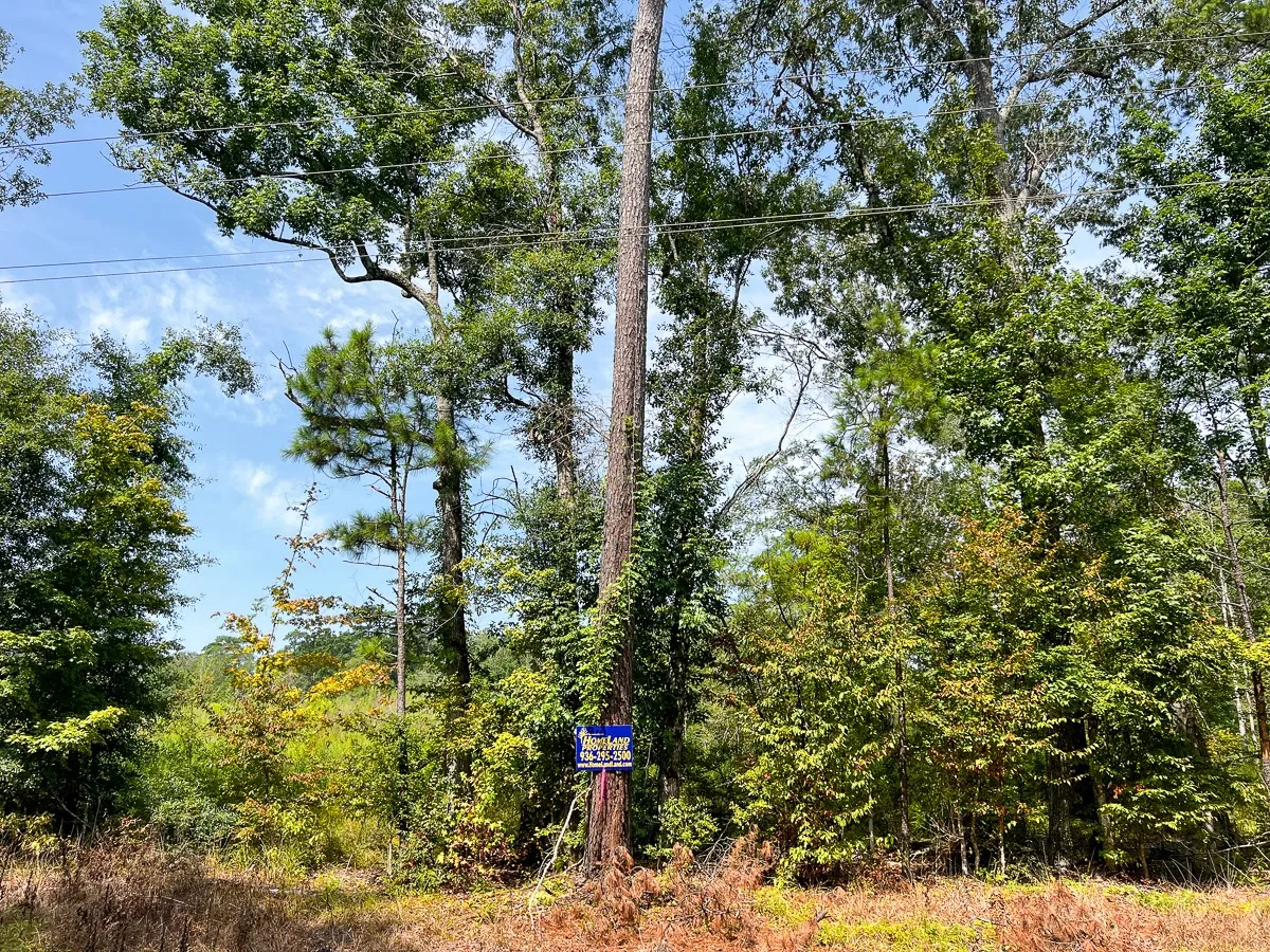 Unimproved Land For Sale in Tyler County , 1 County Road 3725, Colmesneil, Texas 75938, 0, 0, Garage spaces, 0 Sqft, built in 0, Price $878,850, mls#20397621, Real Estate Agent in Colmesneil, Homes For Sale in Tyler county, Homes For Sale in Colmesneil, Realtor in Colmesneil Texas, Real Estate Brokerage Independent Realty Texas, Luminita Cordes Realtor
