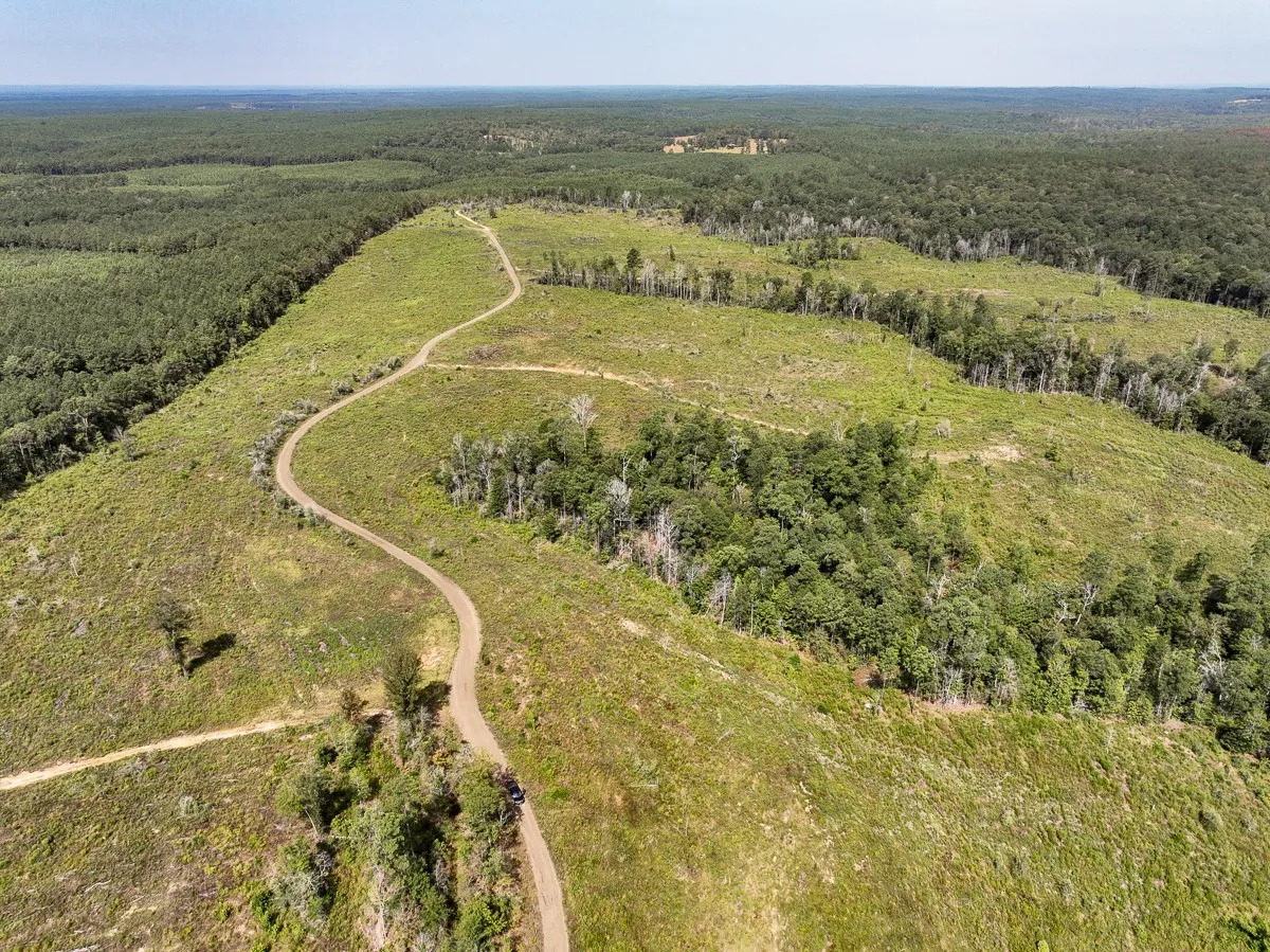 Unimproved Land For Sale in Tyler County , 1 County Road 3725, Colmesneil, Texas 75938, 0, 0, Garage spaces, 0 Sqft, built in 0, Price $878,850, mls#20397621, Real Estate Agent in Colmesneil, Homes For Sale in Tyler county, Homes For Sale in Colmesneil, Realtor in Colmesneil Texas, Real Estate Brokerage Independent Realty Texas, Luminita Cordes Realtor