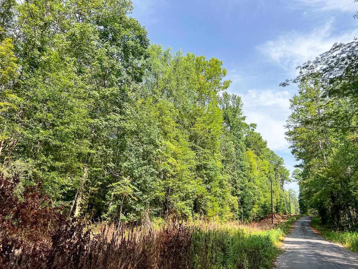 Unimproved Land For Sale in Tyler County , 1 County Road 3725, Colmesneil, Texas 75938, 0, 0, Garage spaces, 0 Sqft, built in 0, Price $878,850, mls#20397621, Real Estate Agent in Colmesneil, Homes For Sale in Tyler county, Homes For Sale in Colmesneil, Realtor in Colmesneil Texas, Real Estate Brokerage Independent Realty Texas, Luminita Cordes Realtor
