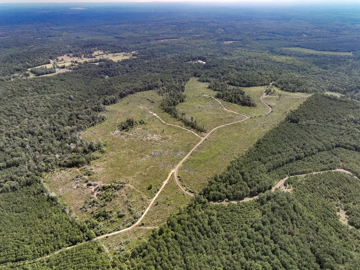 Unimproved Land For Sale in Tyler County , 1 County Road 3725, Colmesneil, Texas 75938, 0, 0, Garage spaces, 0 Sqft, built in 0, Price $878,850, mls#20397621, Real Estate Agent in Colmesneil, Homes For Sale in Tyler county, Homes For Sale in Colmesneil, Realtor in Colmesneil Texas, Real Estate Brokerage Independent Realty Texas, Luminita Cordes Realtor