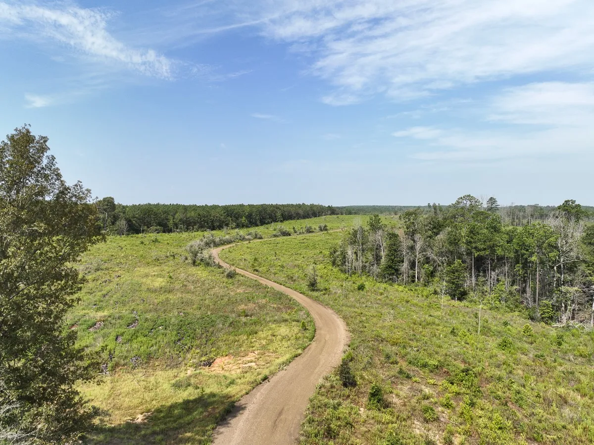 Unimproved Land For Sale in Tyler County , 1 County Road 3725, Colmesneil, Texas 75938, 0, 0, Garage spaces, 0 Sqft, built in 0, Price $878,850, mls#20397621, Real Estate Agent in Colmesneil, Homes For Sale in Tyler county, Homes For Sale in Colmesneil, Realtor in Colmesneil Texas, Real Estate Brokerage Independent Realty Texas, Luminita Cordes Realtor