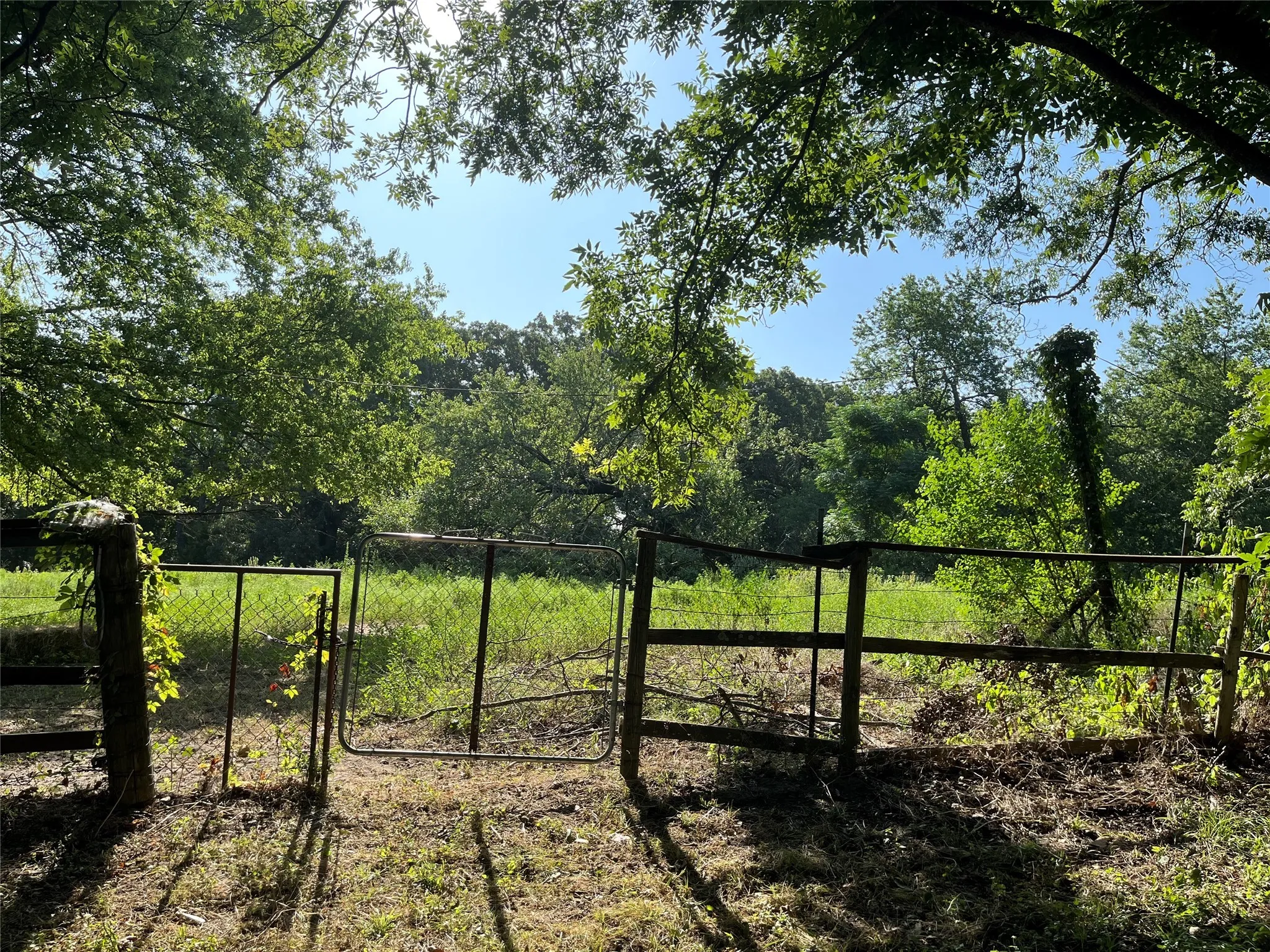 Back Pasture
