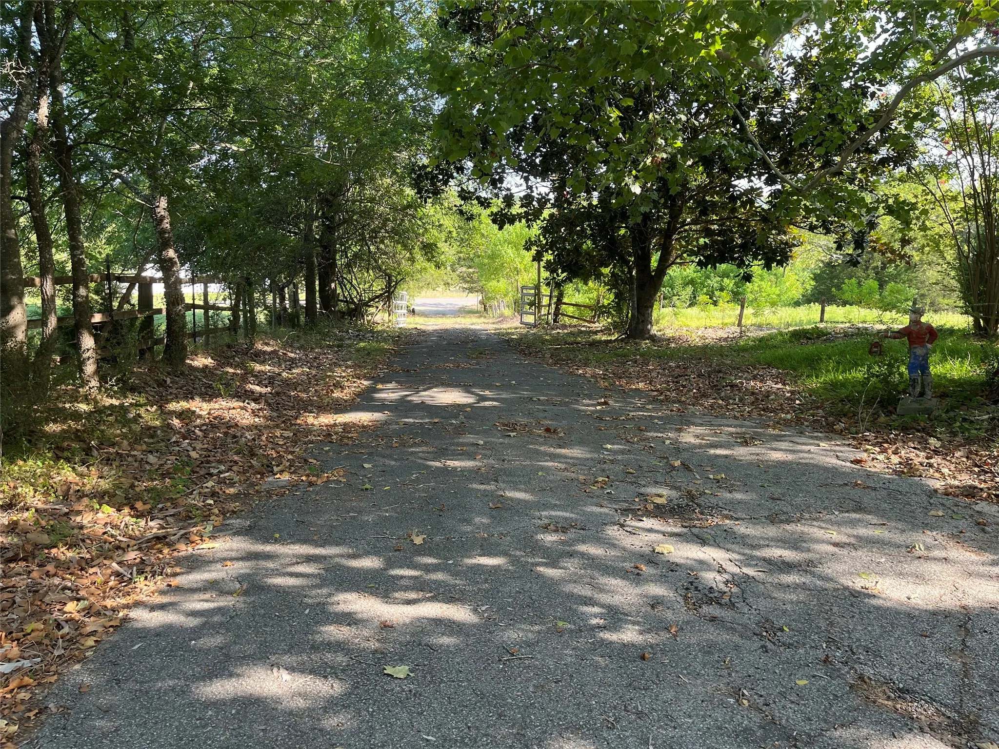 Driveway