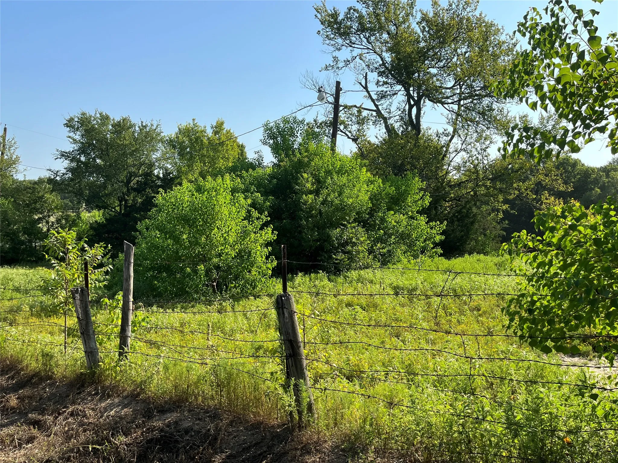 Pasture View