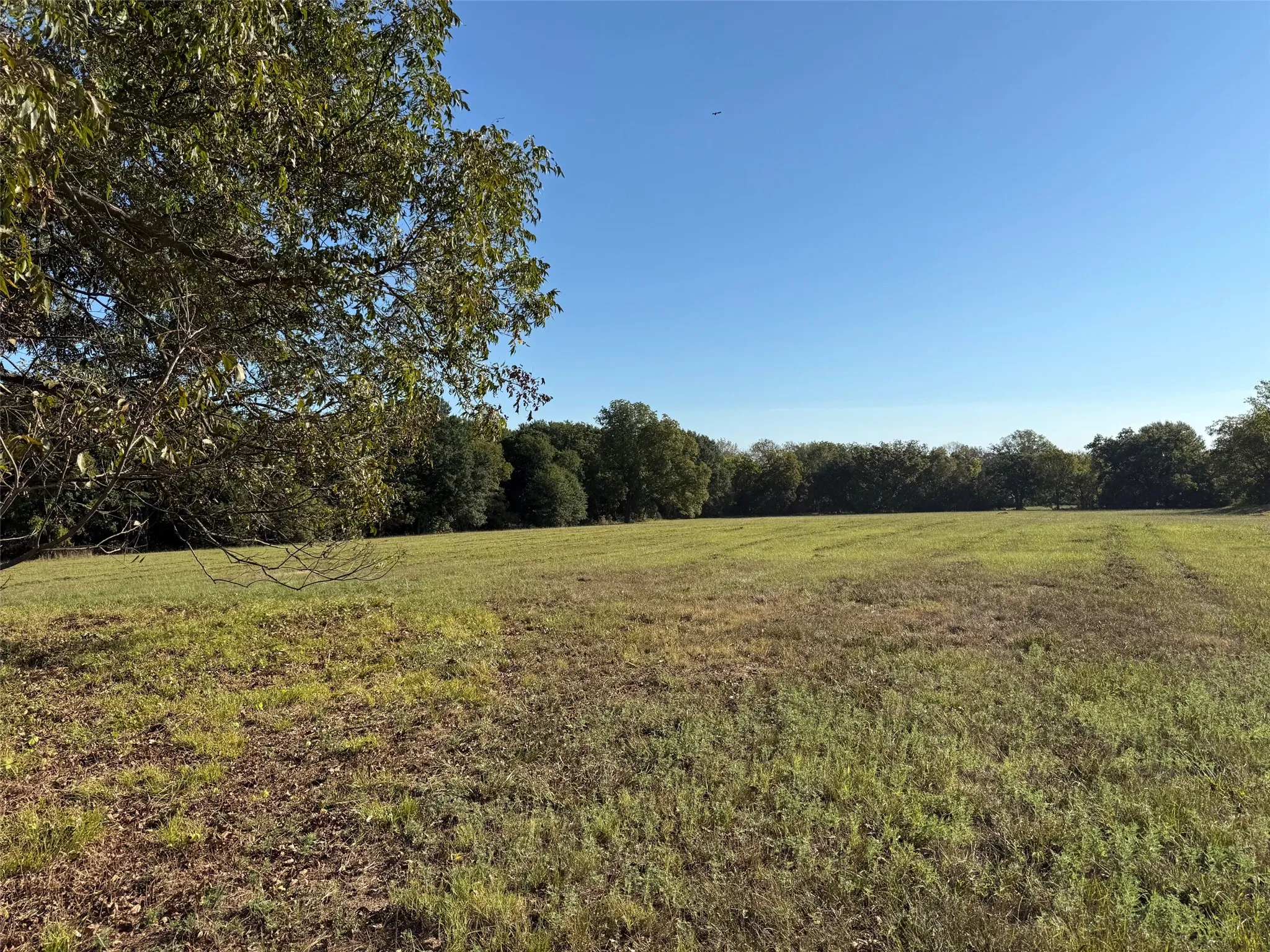 Acreage