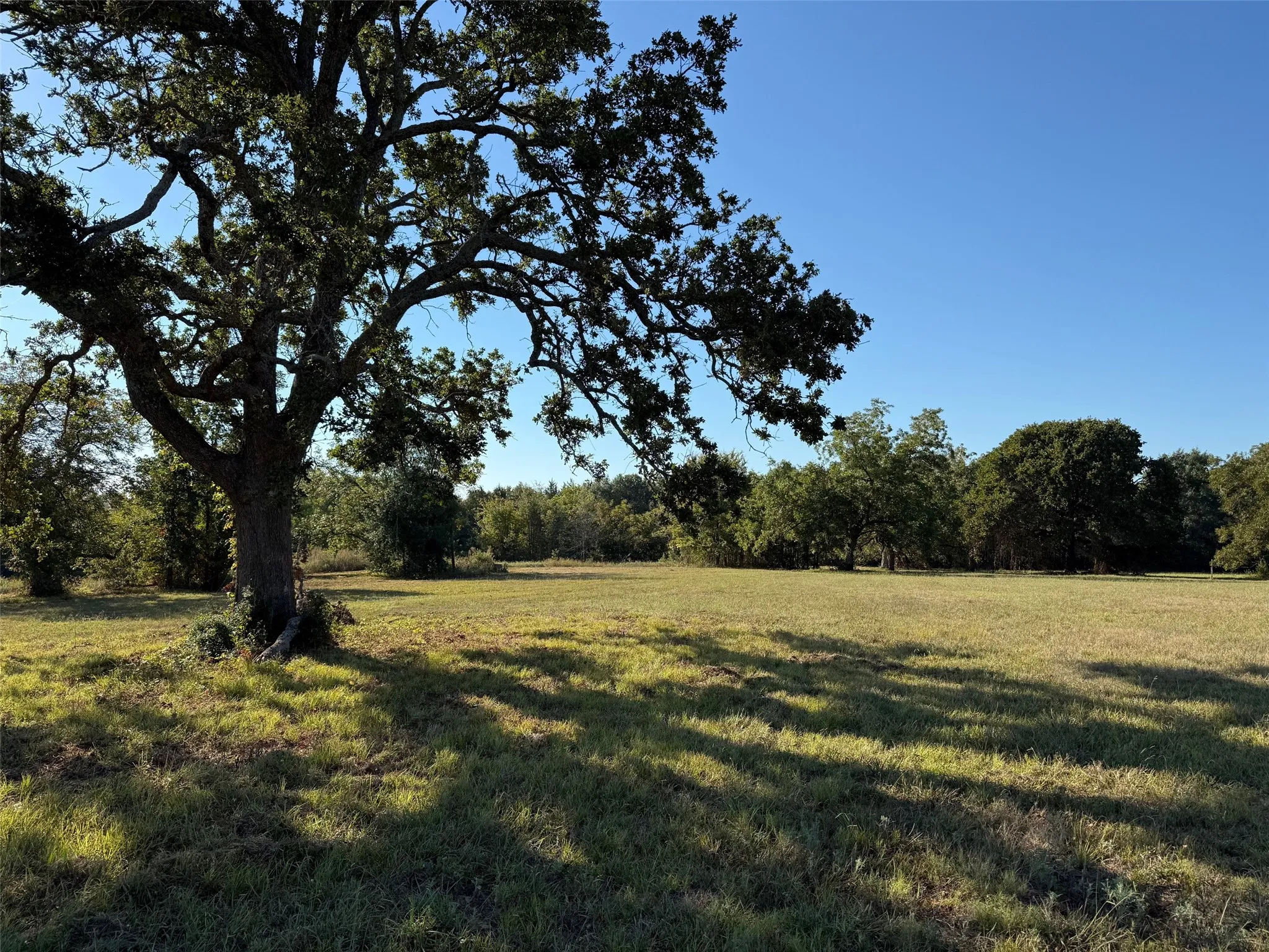 Acreage