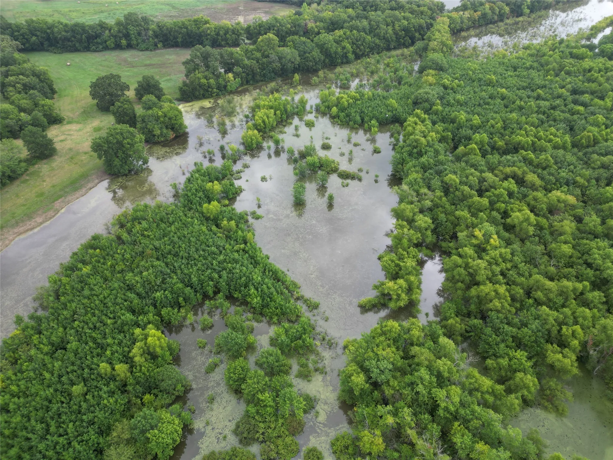 New lake frontage
