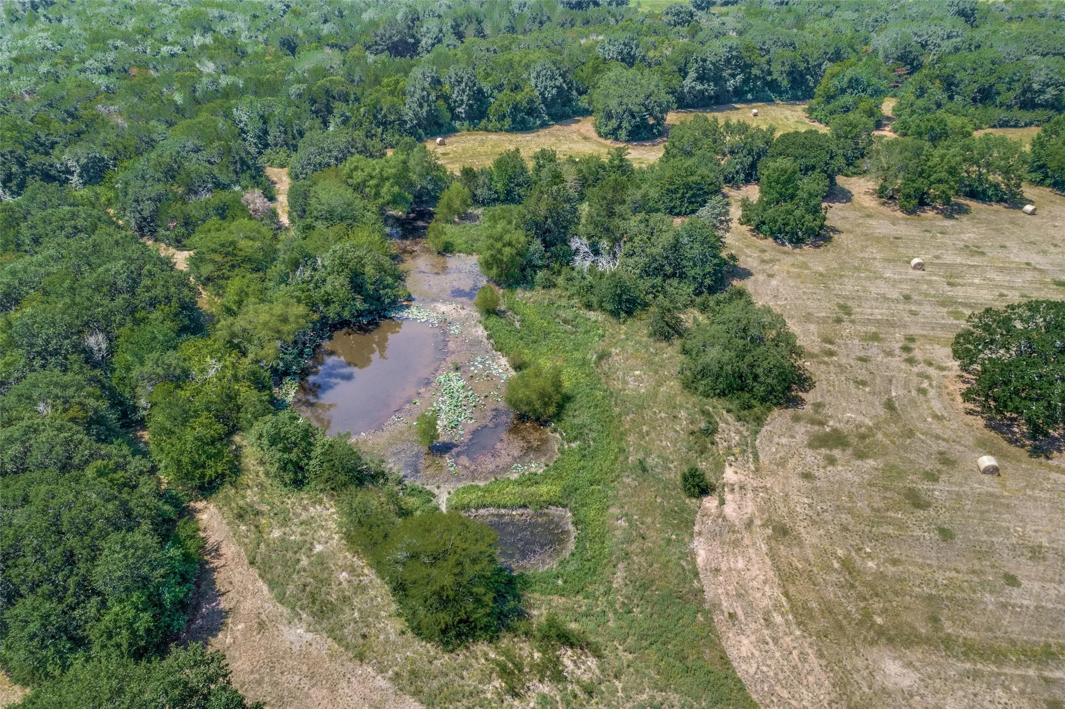Second Pond