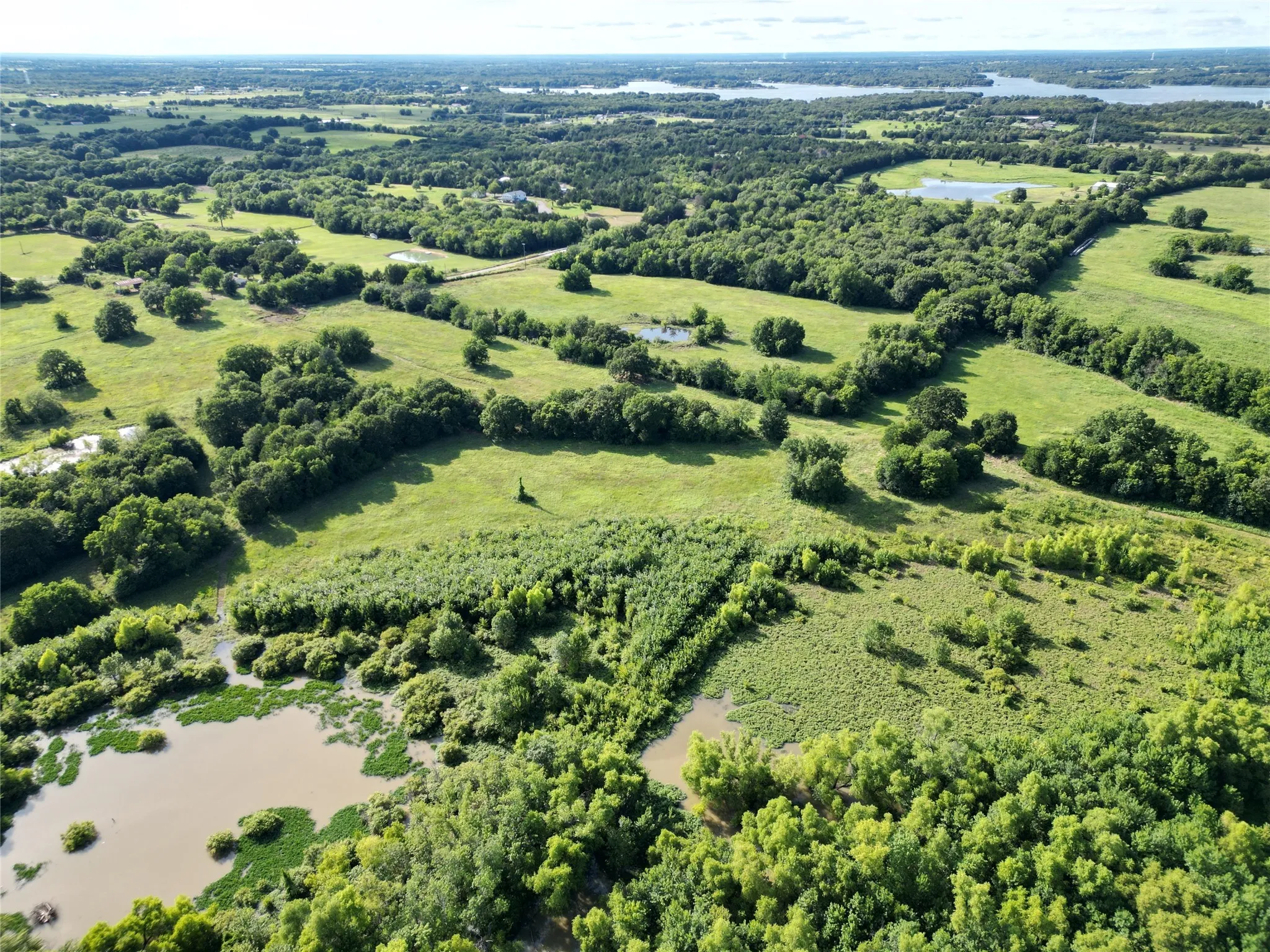 Property Looking North towards Lake Bonham
