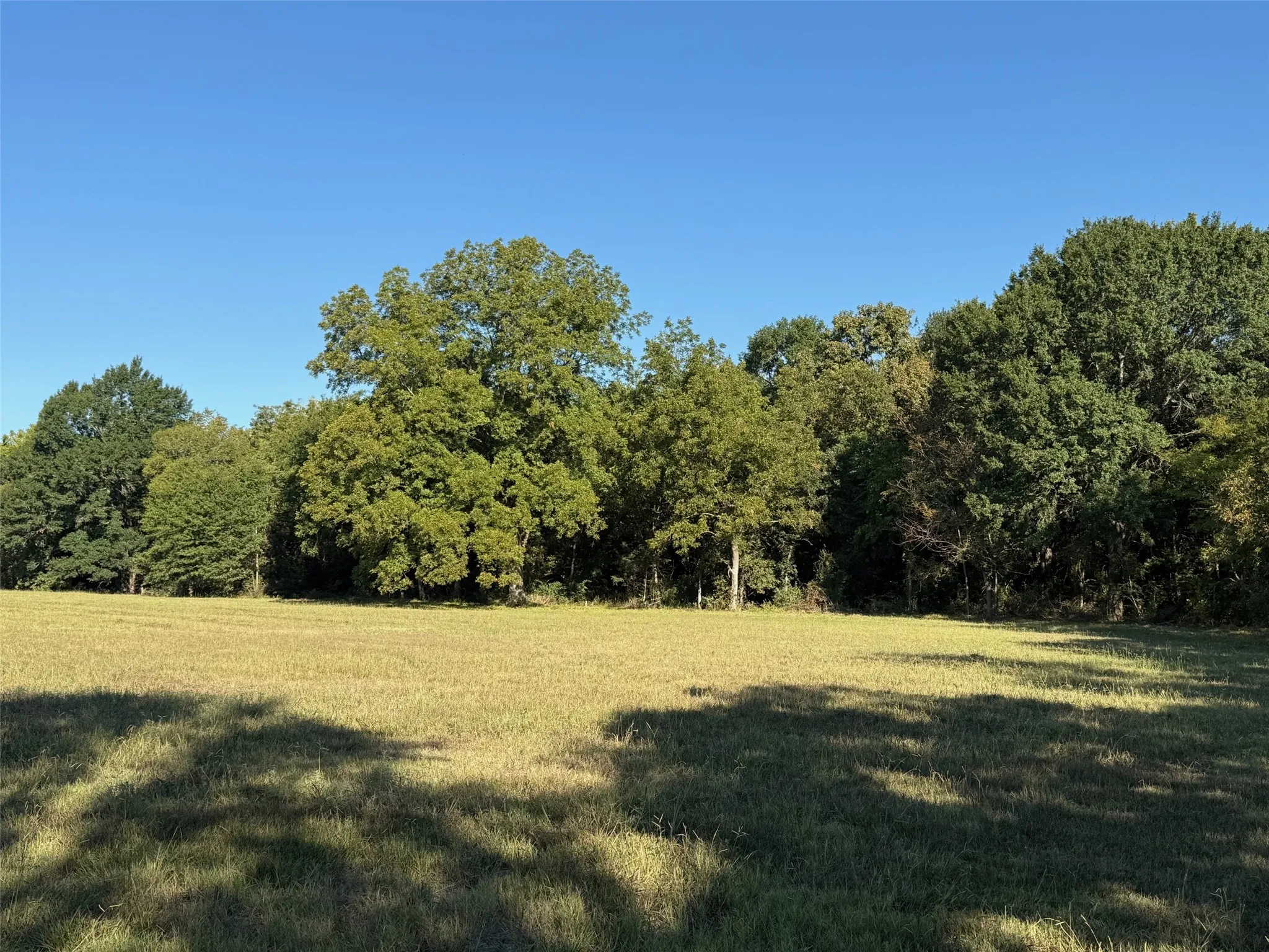 Acreage