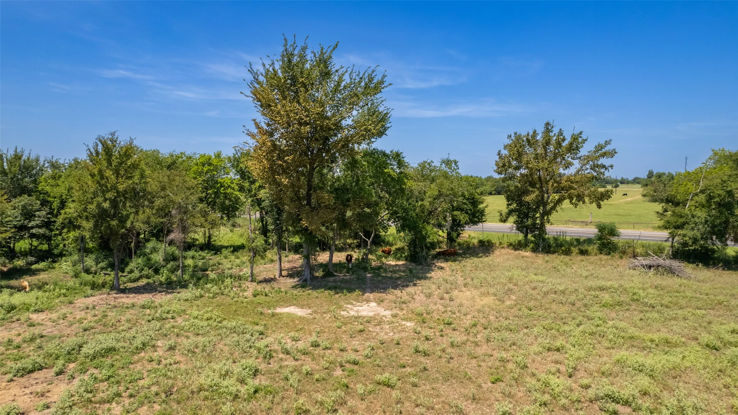 Unimproved Land For Sale in Hopkins County , 15 Acres Highway 19, Sulphur Springs, Texas 75482, 0, 0, Garage spaces, 0 Sqft, built in 0, mls#20396247, Real Estate Agent in Sulphur Springs, Homes For Sale in Hopkins county, Homes For Sale in Sulphur Springs, Realtor in Sulphur Springs Texas, Real Estate Brokerage Independent Realty Texas, Luminita Cordes Realtor