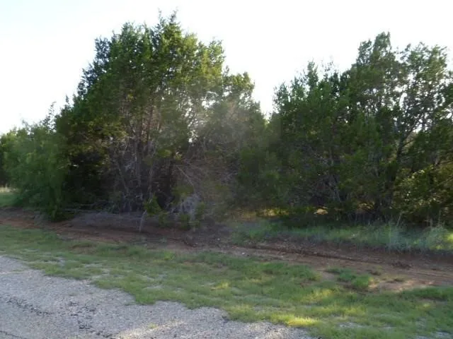 Unimproved Land For Sale in Hill County , 5043 Horseshoe Drive, Whitney, Texas 76692, 0, 0, Garage spaces, 0 Sqft, built in 0, Price $20,000, mls#20412761, Real Estate Agent in Whitney, Homes For Sale in Hill county, Homes For Sale in Whitney, Realtor in Whitney Texas, Real Estate Brokerage Independent Realty Texas, Luminita Cordes Realtor