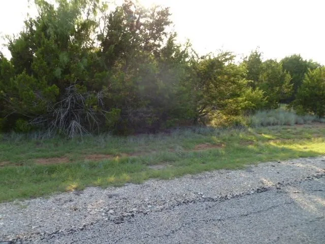 Unimproved Land For Sale in Hill County , 5043 Horseshoe Drive, Whitney, Texas 76692, 0, 0, Garage spaces, 0 Sqft, built in 0, Price $20,000, mls#20412761, Real Estate Agent in Whitney, Homes For Sale in Hill county, Homes For Sale in Whitney, Realtor in Whitney Texas, Real Estate Brokerage Independent Realty Texas, Luminita Cordes Realtor