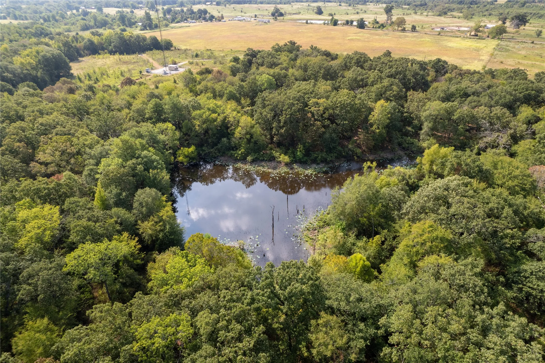Improved Land For Sale in Van Zandt County , 151 Fm 314, Van, Texas 75790, 0, 0, Garage spaces, 0 Sqft, built in 1985, Price $1,399,407, mls#20420723, Real Estate Agent in Van, Homes For Sale in Van Zandt county, Homes For Sale in Van, Realtor in Van Texas, Real Estate Brokerage Independent Realty Texas, Luminita Cordes Realtor