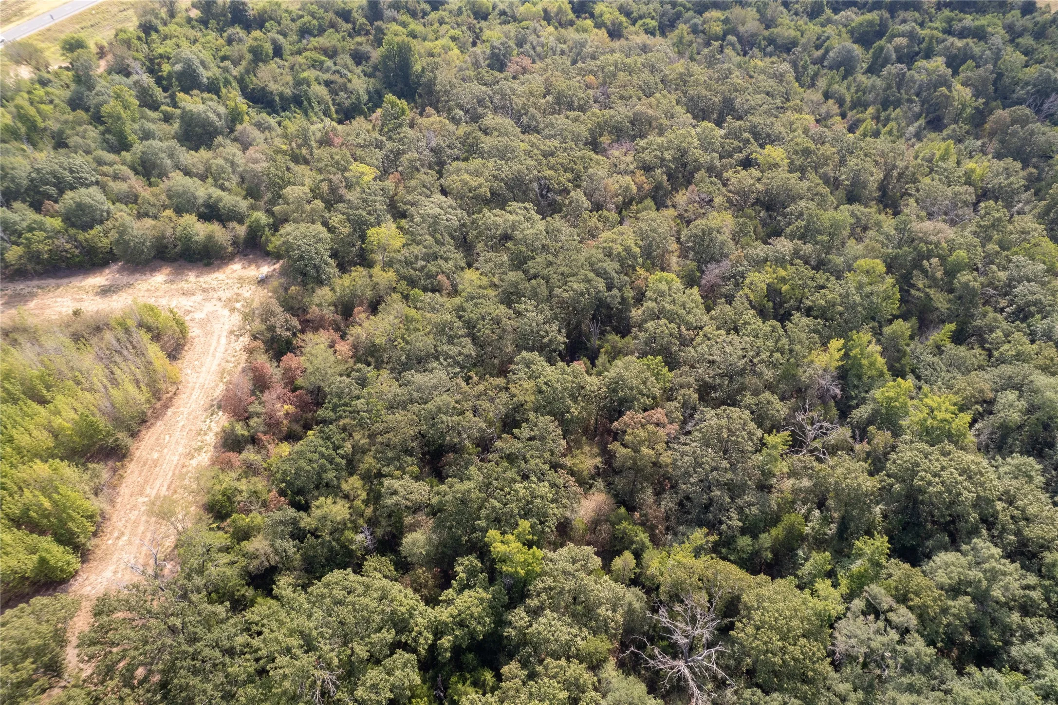 Treed area South Side