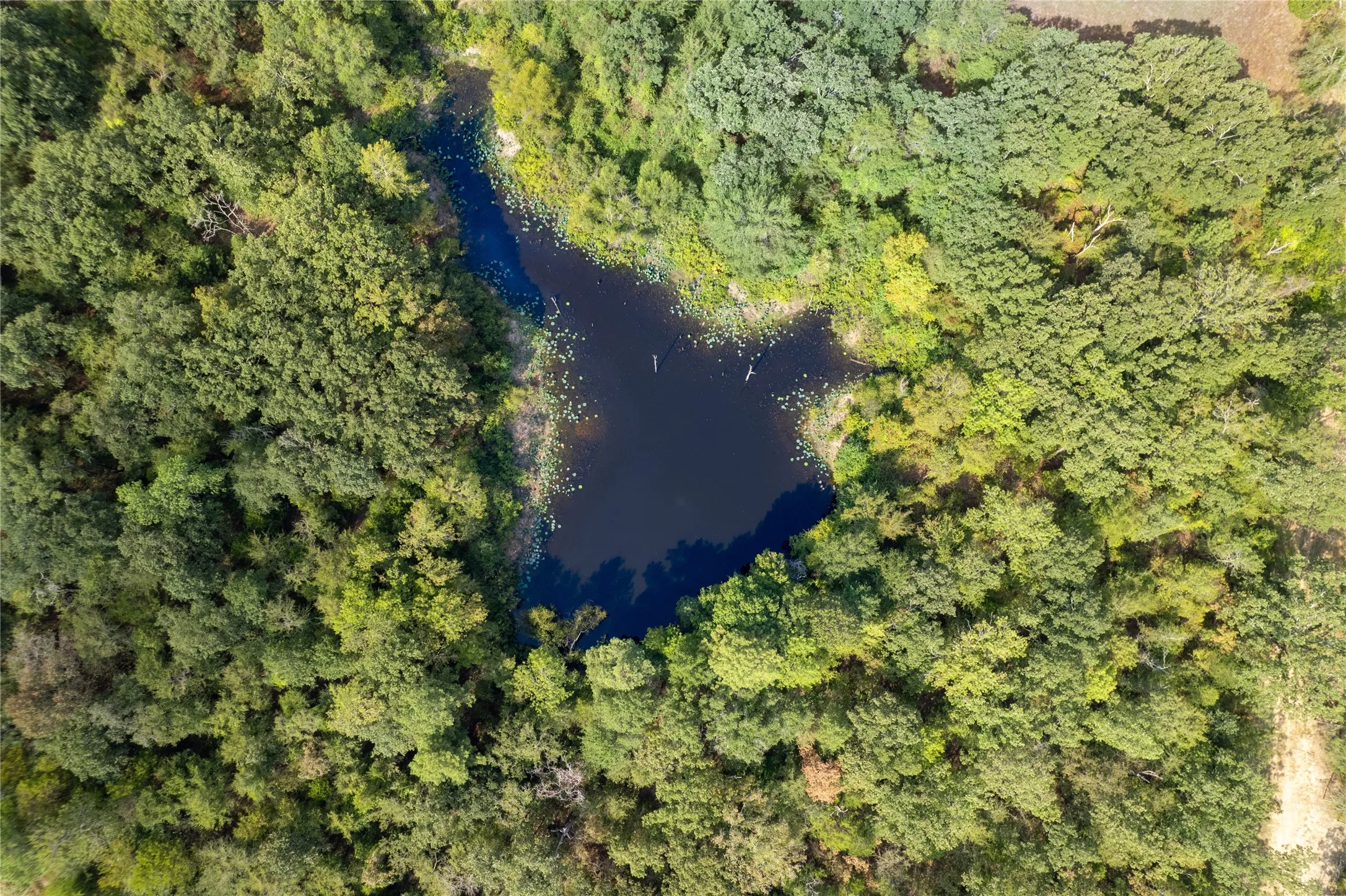 Improved Land For Sale in Van Zandt County , 151 Fm 314, Van, Texas 75790, 0, 0, Garage spaces, 0 Sqft, built in 1985, Price $1,399,407, mls#20420723, Real Estate Agent in Van, Homes For Sale in Van Zandt county, Homes For Sale in Van, Realtor in Van Texas, Real Estate Brokerage Independent Realty Texas, Luminita Cordes Realtor