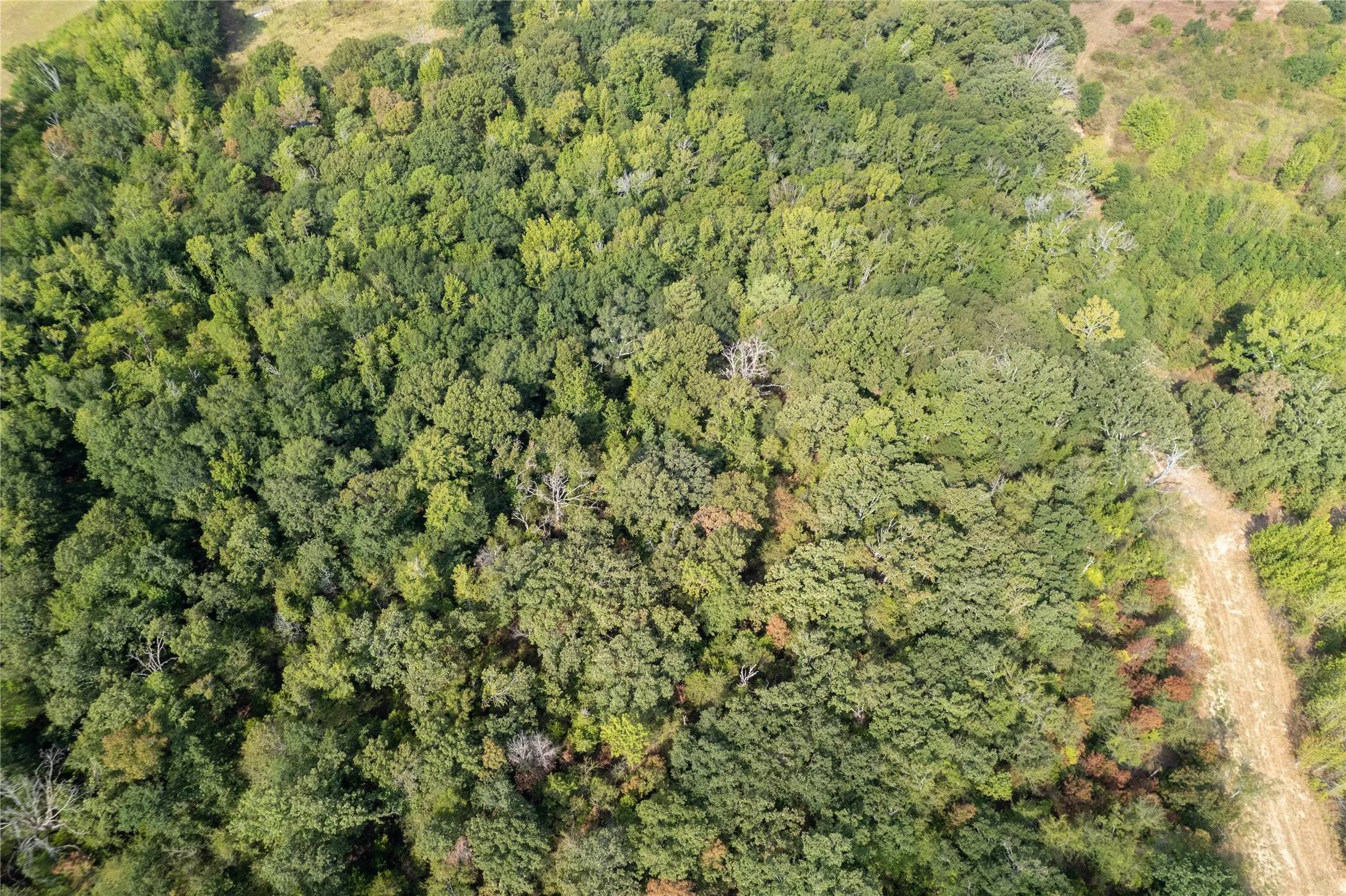 Treed area North Side