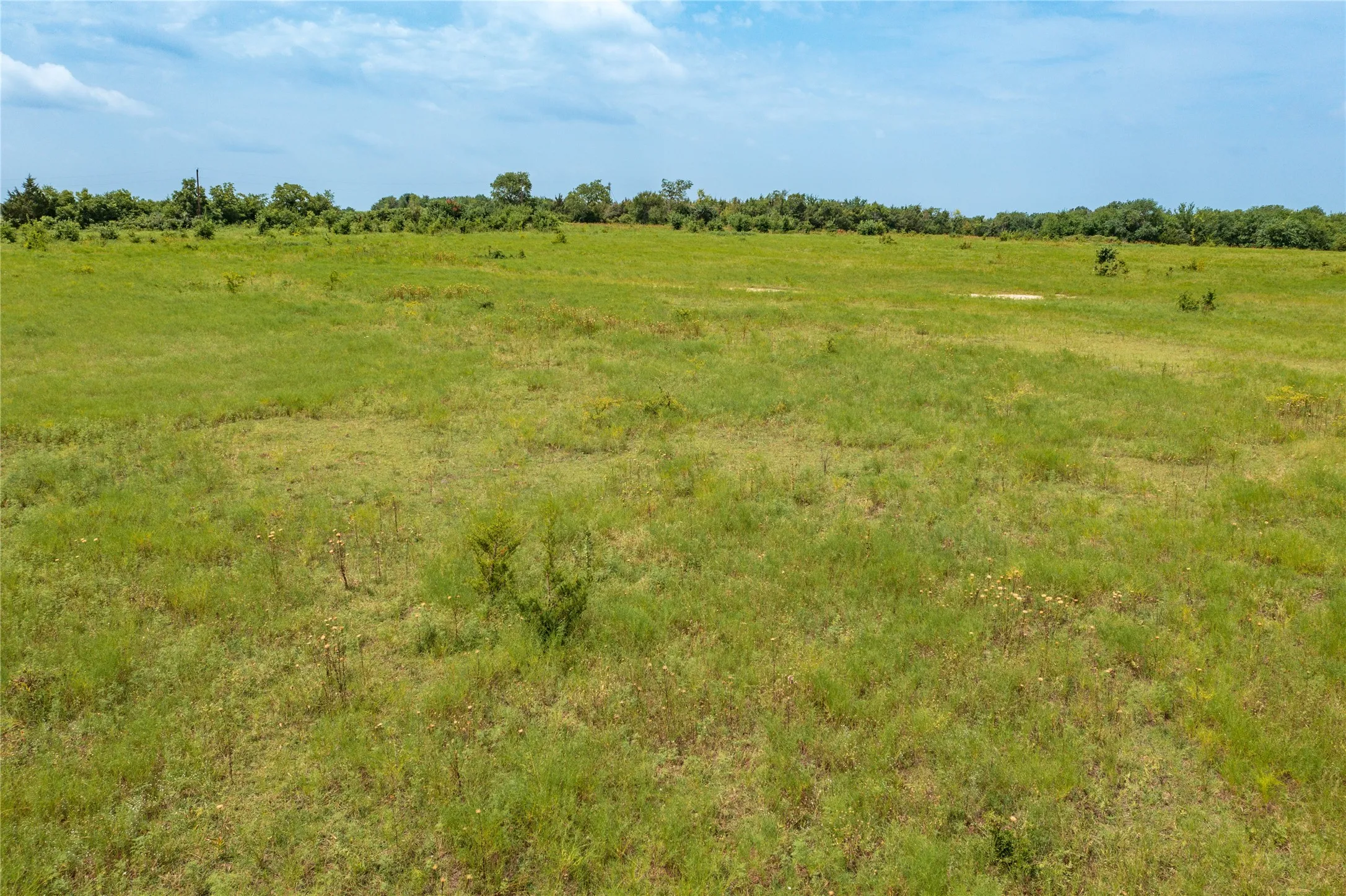 Unimproved Land For Sale in Fannin County , TBD Fm 34, Honey Grove, Texas 75446, 0, 0, Garage spaces, 0 Sqft, built in 0, Price $252,000, mls#20436967, Real Estate Agent in Honey Grove, Homes For Sale in Fannin county, Homes For Sale in Honey Grove, Realtor in Honey Grove Texas, Real Estate Brokerage Independent Realty Texas, Luminita Cordes Realtor