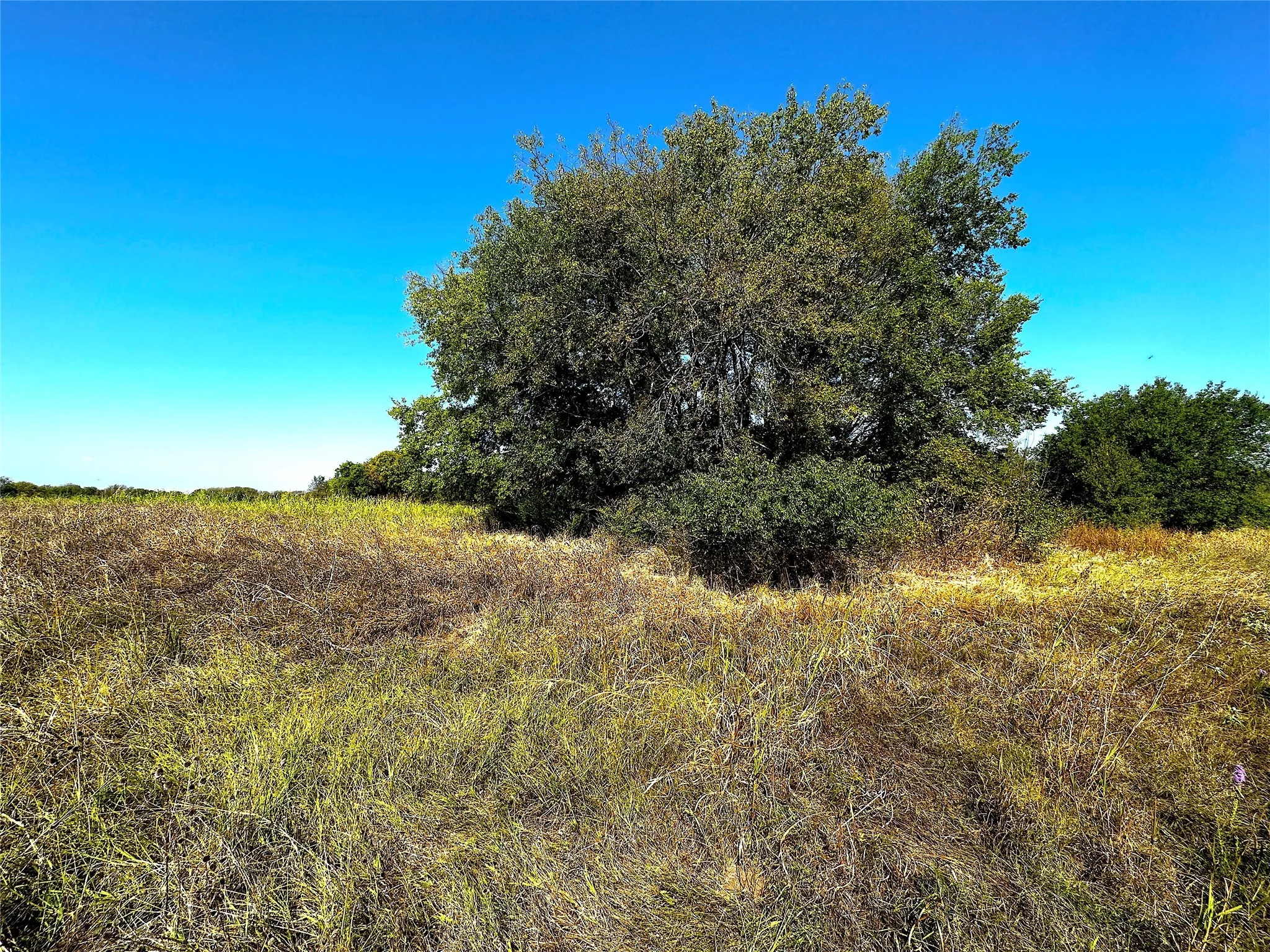Unimproved Land For Sale in Rains County , 0 Choctaw Trail, East Tawakoni, Texas 75472, 0, 0, Garage spaces, 0 Sqft, built in 0, Price $18,000, mls#20436290, Real Estate Agent in East Tawakoni, Homes For Sale in Rains county, Homes For Sale in East Tawakoni, Realtor in East Tawakoni Texas, Real Estate Brokerage Independent Realty Texas, Luminita Cordes Realtor